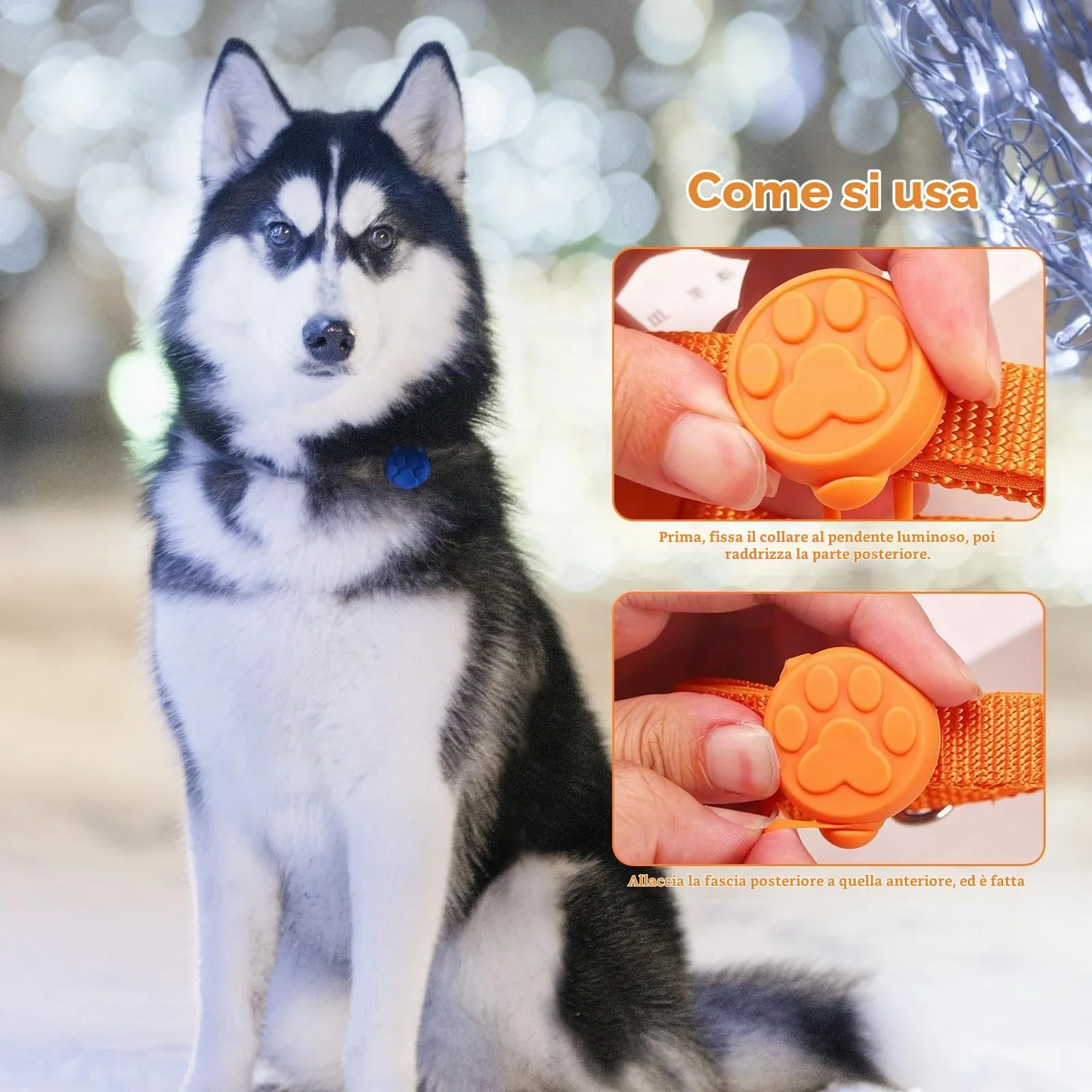 iPobie 5 pz Ciondolo Luminoso Cane, Collare di Sicurezza per Cane in Silicone LED Pendente Luminoso Lampeggiante per Corridori Passeggiate Notturne - immagine 6