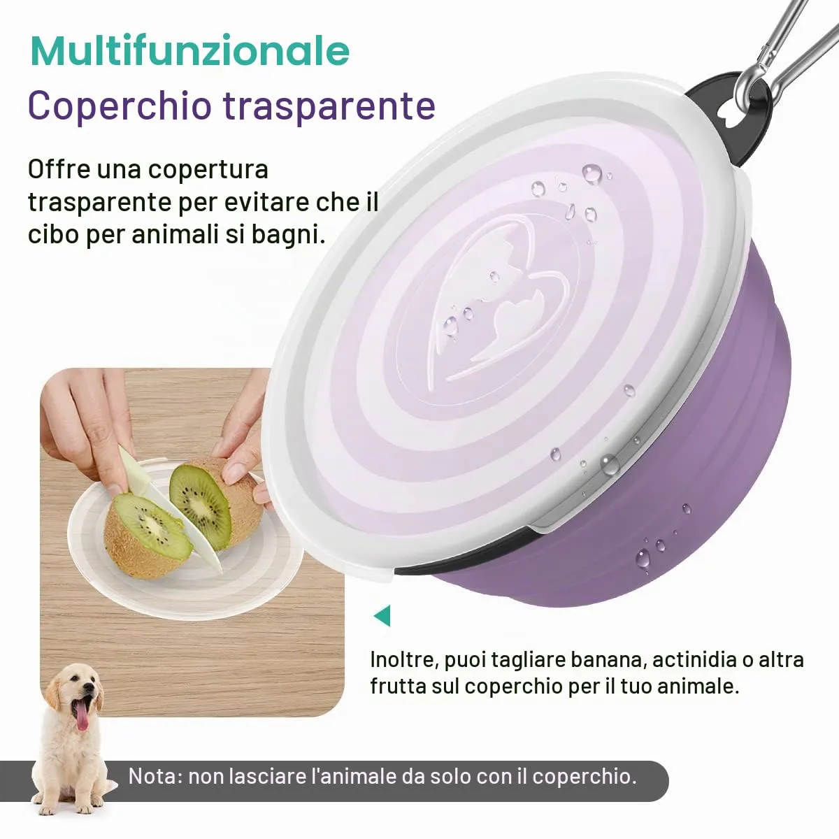 Pawaboo Ciotola pieghevole per cani, 2 ciotole da viaggio da 1000 ml, in silicone, a prova di perdite, con coperchio e moschettone, per cani, gatti, passeggiate in viaggio, turchese + viola - immagine 2