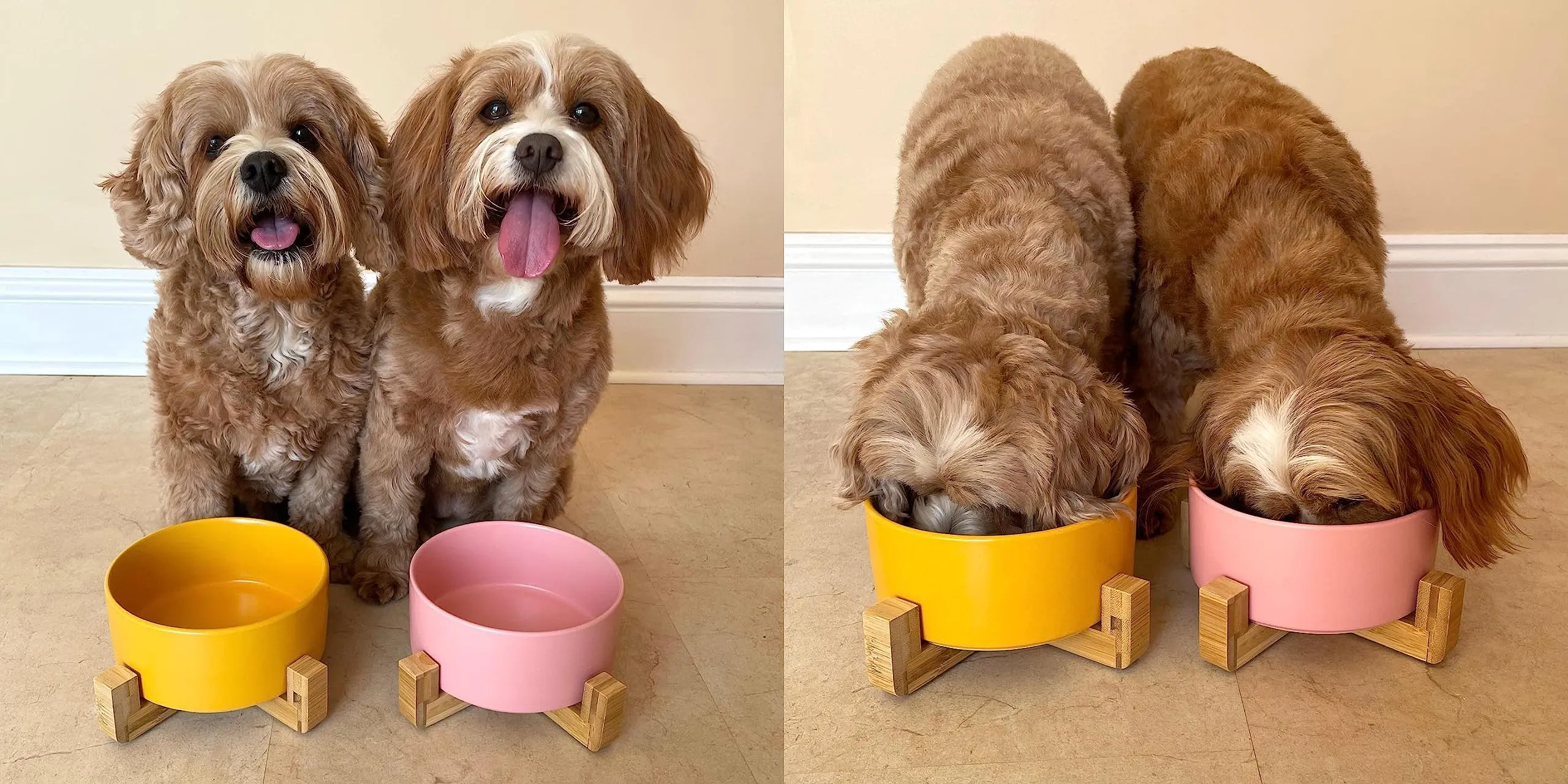 Ciotola in ceramica con supporto in bambù per cani e gatti, ciotola rialzata per una posizione comoda quando si mangia e si beve, disponibile in 5 opzioni di colore, capacità 850 ml (giallo) - immagine 2