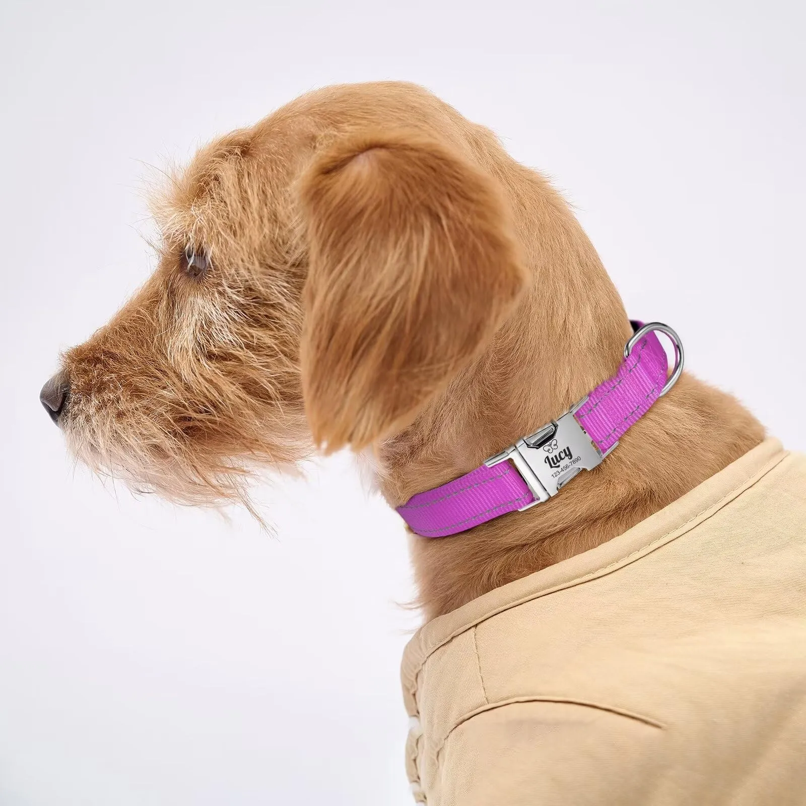 Collare Cane Personalizzato - Collare Gatto Riflettente Con Nome E Numero di Telefono inciso, Collari per Animali in Nylon Con Sgancio Rapido E Fibbia in Metallo - immagine 3