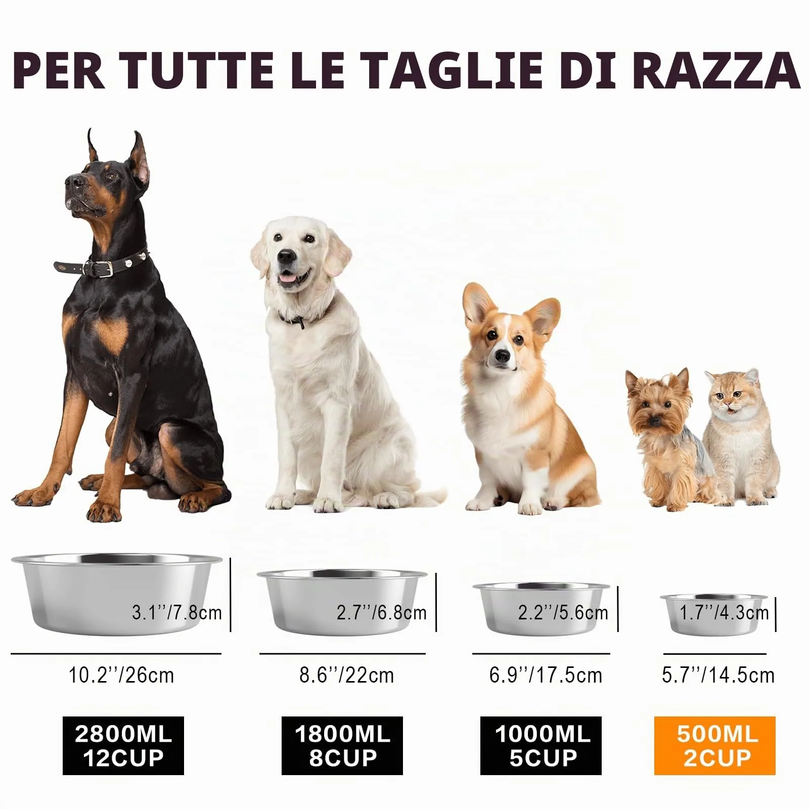 Ciotola per cani in acciaio inox con tappetino - Fondo in gomma EVA antiscivolo, ciotola per cibo e acqua per cani e gatti - Lavabile in lavastoviglie - immagine 2