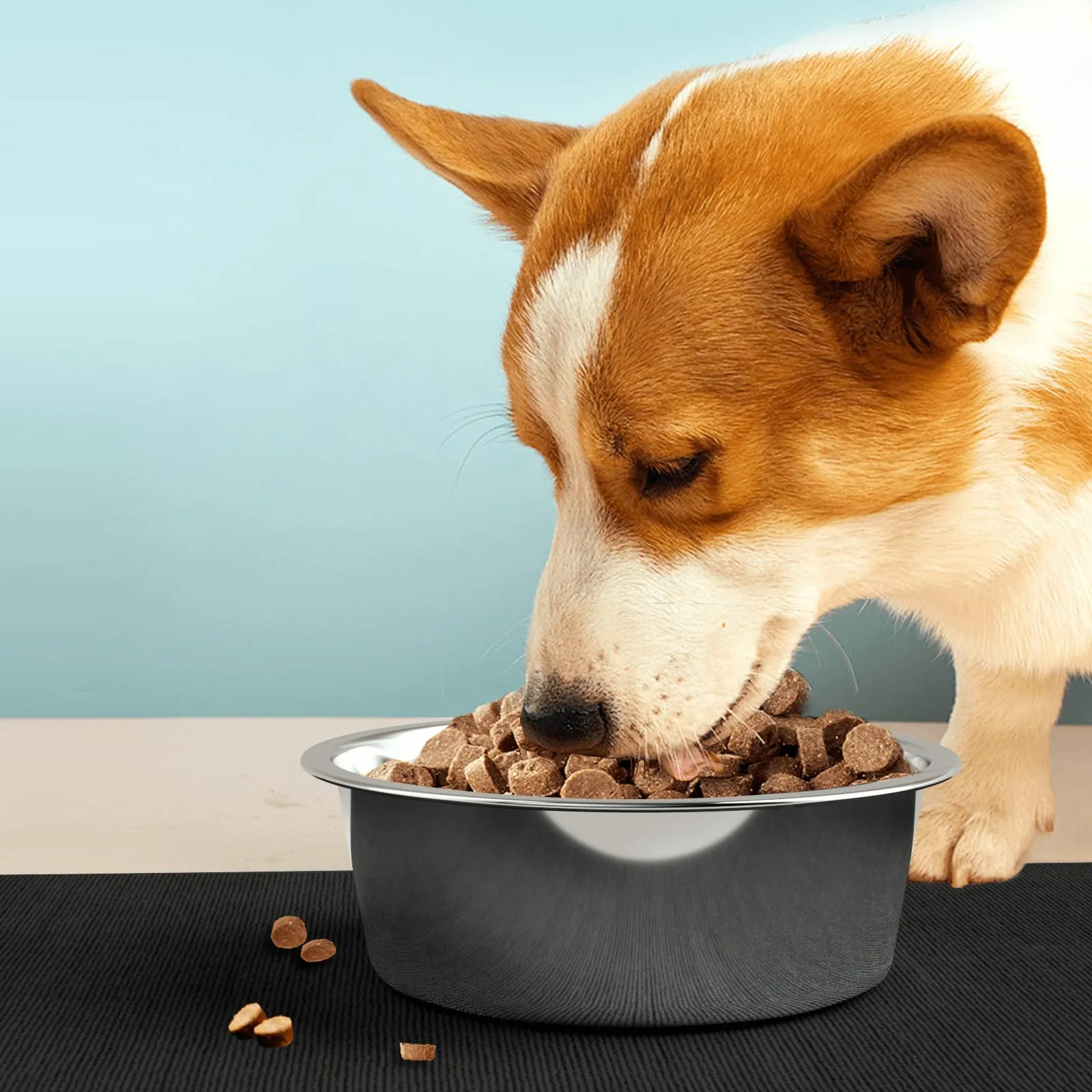 Ciotole per cani in acciaio inossidabile con tappetino - Fondo in gomma EVA antiscivolo, ciotola per cibo e acqua per cani e gatti - Lavabile in lavastoviglie - immagine 7