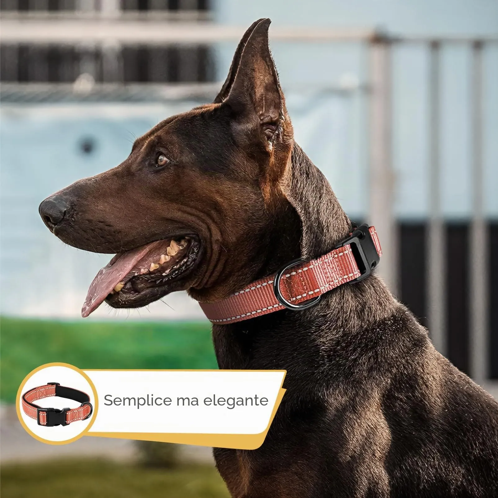 HEELE Collare per Cani, Collare Cane Riflettente Imbottito Nylon Regolabile Traspirante Collari per Cani di Taglia Media, Corallo, M(34-52cm) - immagine 4