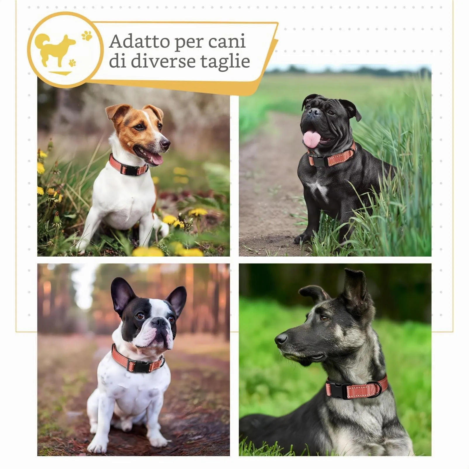 HEELE Collare per Cani, Collare Cane Riflettente Imbottito Nylon Regolabile Traspirante Collari per Cani di Taglia Media, Corallo, M(34-52cm) - immagine 5