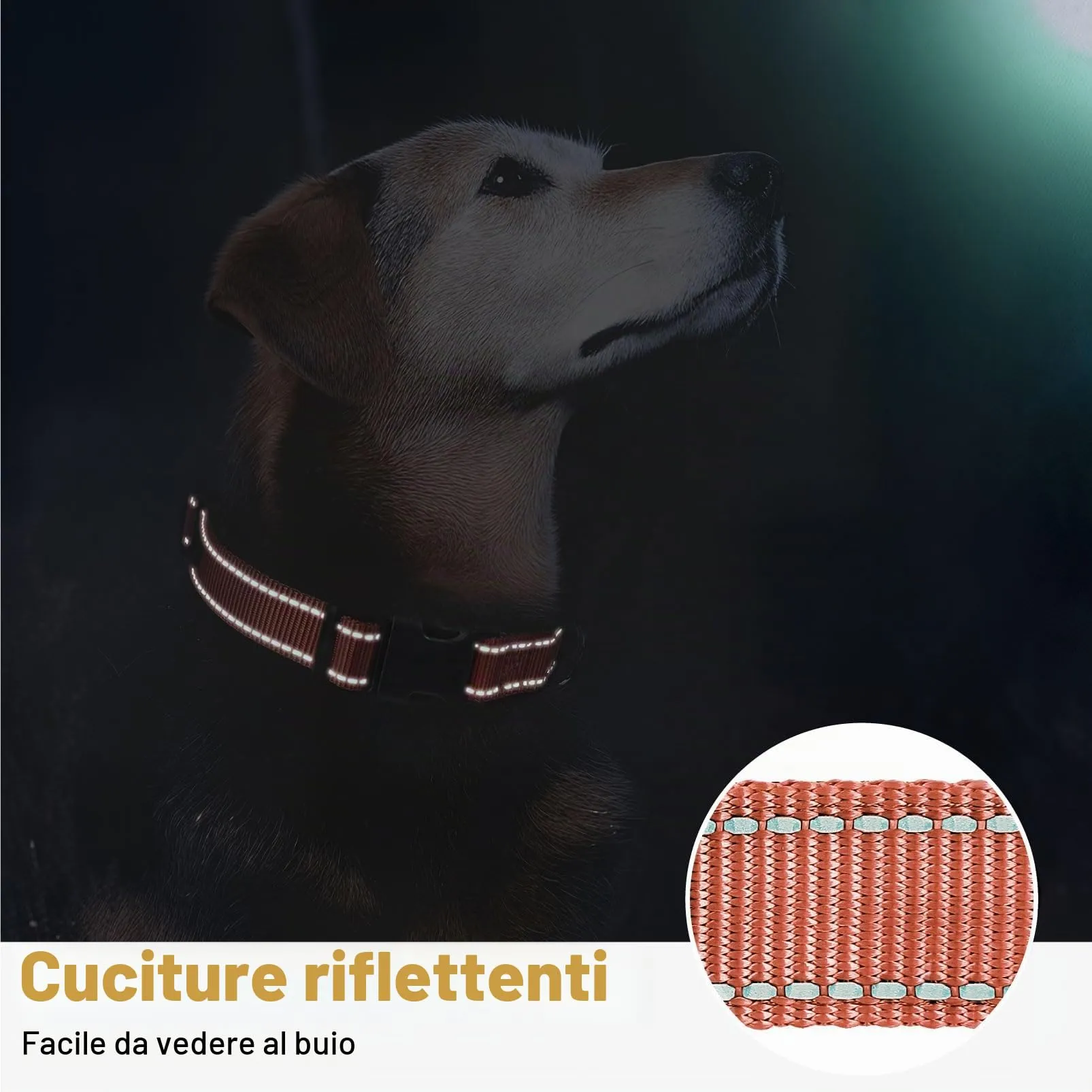 HEELE Collare per Cani, Collare Cane Riflettente Imbottito Nylon Regolabile Traspirante Collari per Cani di Taglia Media, Corallo, M(34-52cm) - immagine 7