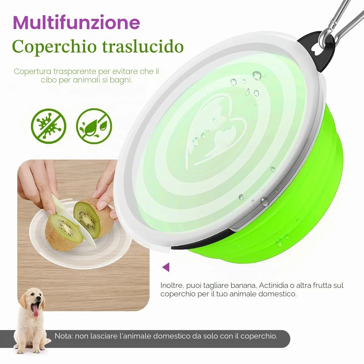 Pawaboo Set da 2 ciotole da viaggio pieghevoli per cani con coperchio - immagine 2