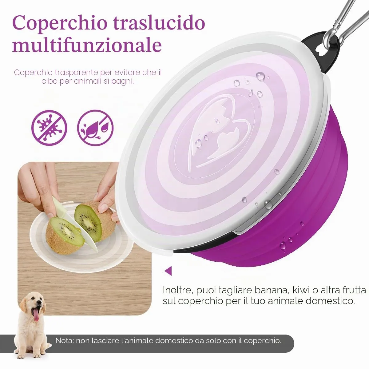 Pawaboo Set da 2 ciotole da viaggio pieghevoli per cani con coperchio - immagine 2