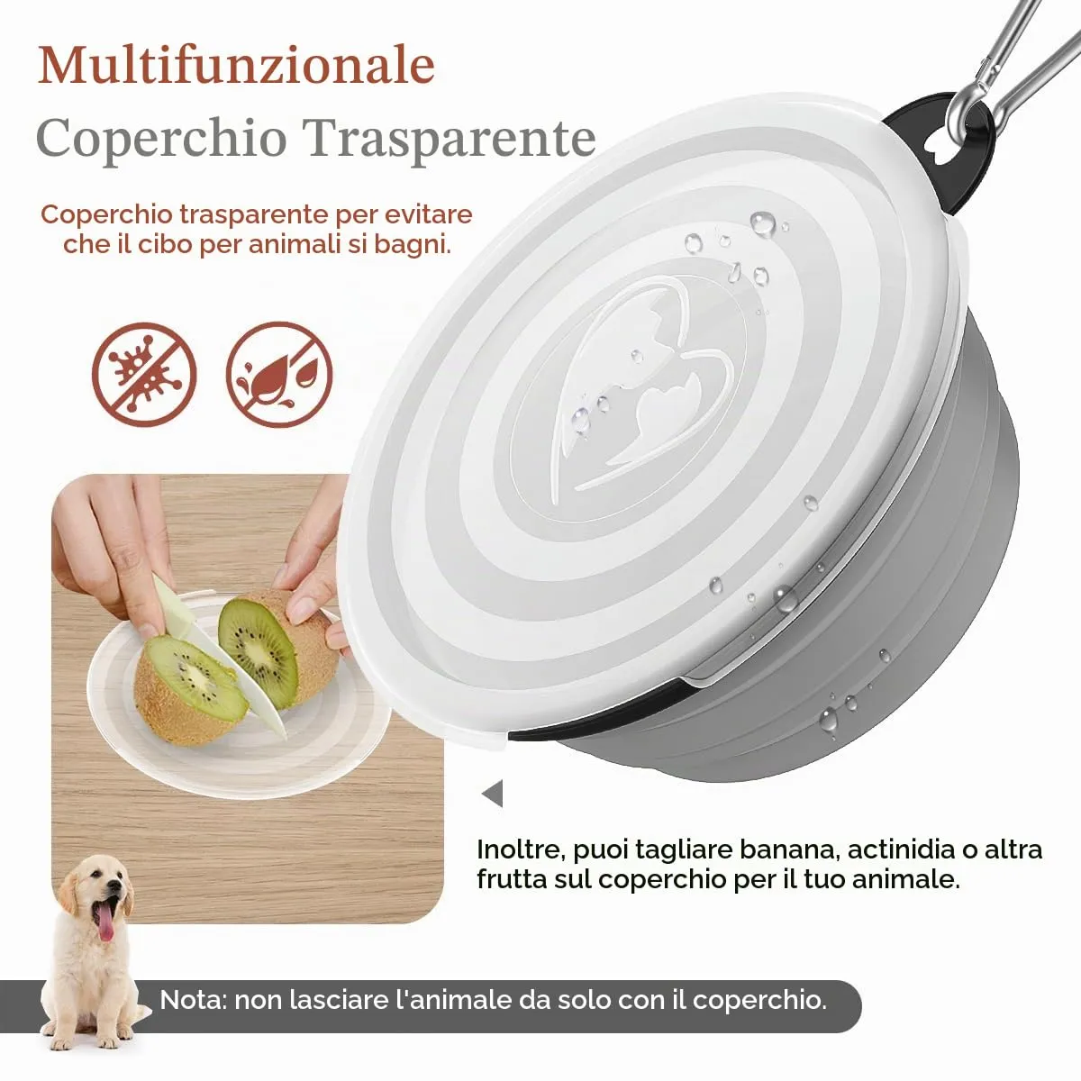 Pawaboo Set da 2 ciotole da viaggio pieghevoli per cani con coperchio - immagine 2
