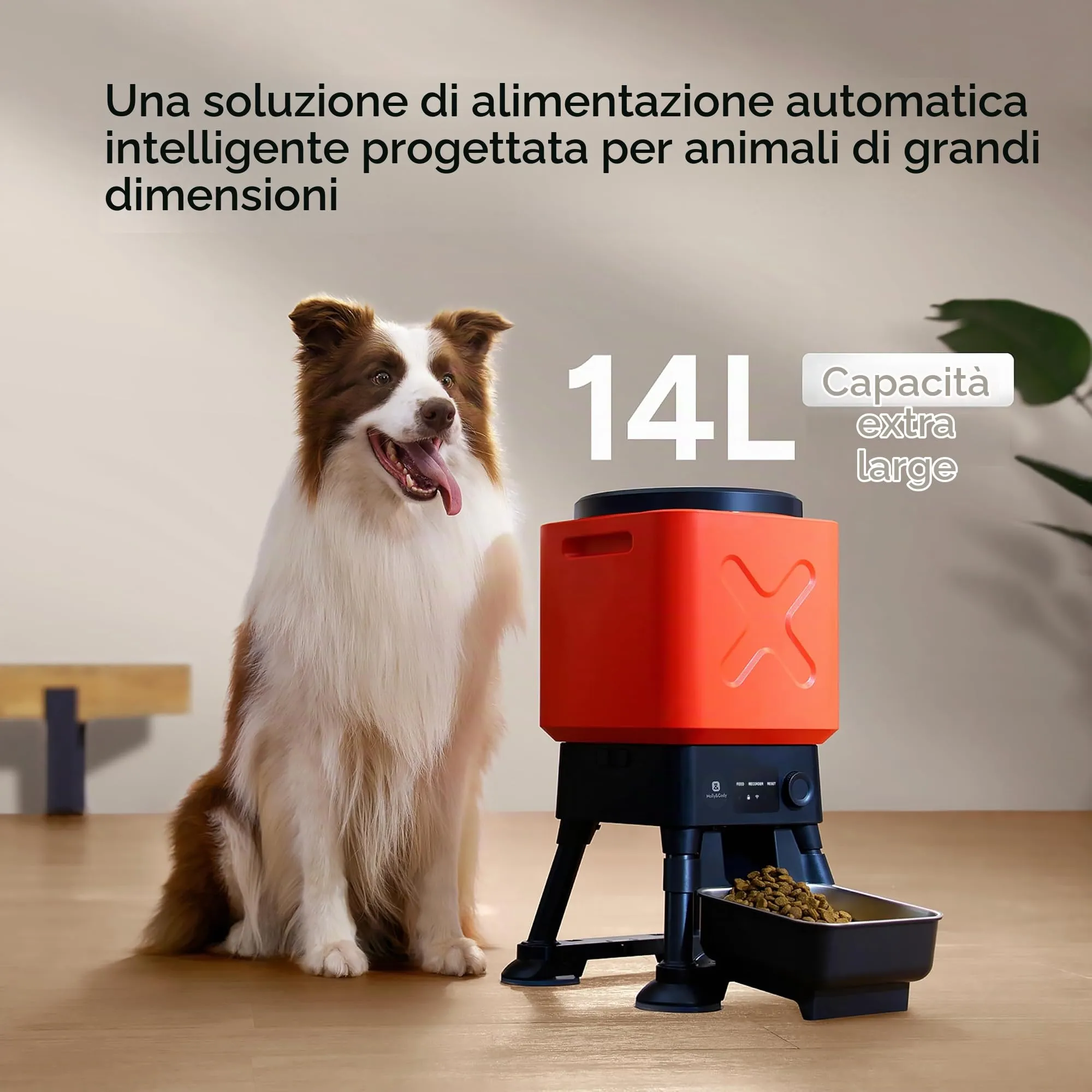 Mangiatoia automatica per cani da 14 l, per cani di taglia grande, capacità extra, anti-blocco, distributore automatico di cibo per cani, doppia alimentazione, ciotola in acciaio inox - immagine 2