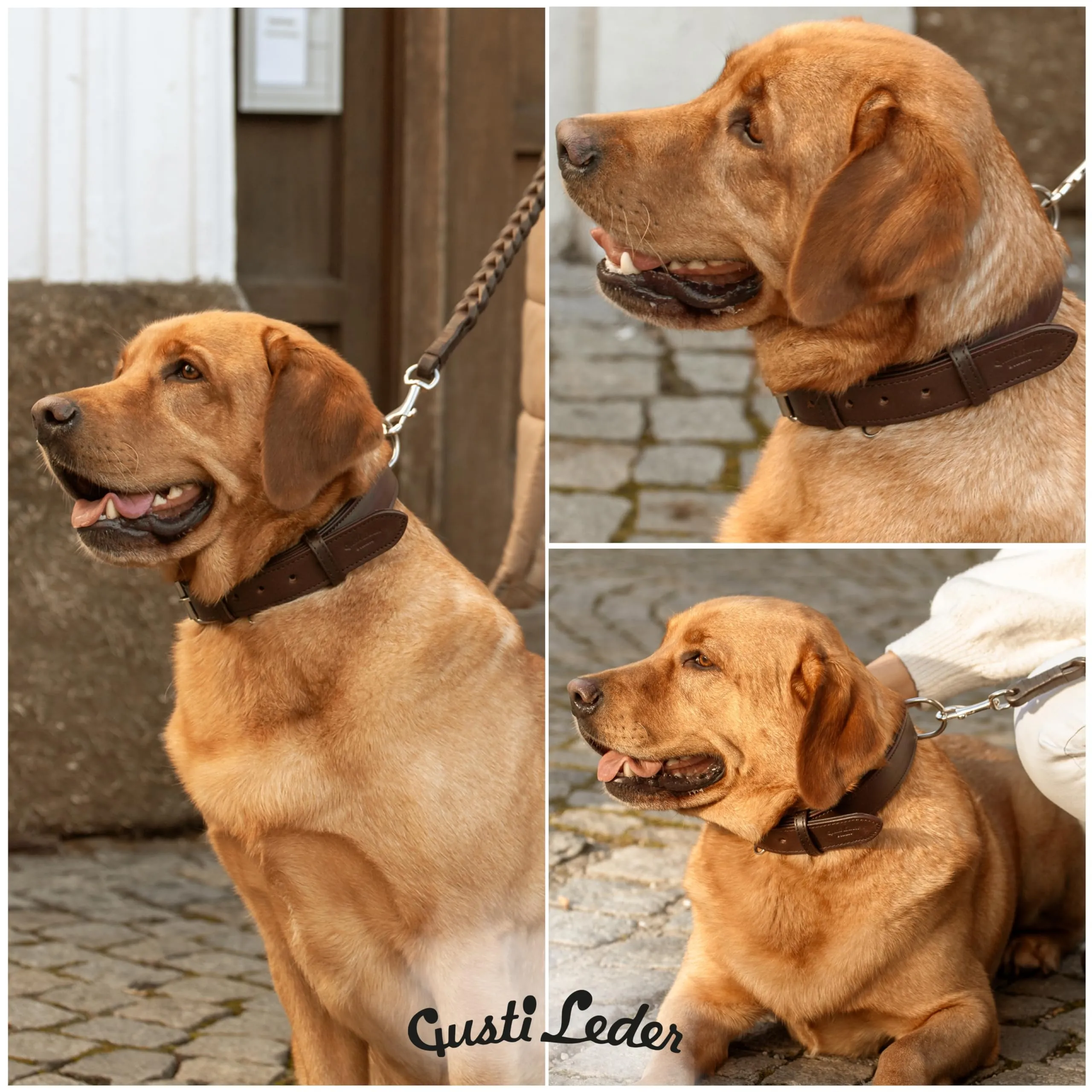 Gusti Jacky - Collare in pelle per cani a quattro zampe, taglia XL, marrone scuro - immagine 4