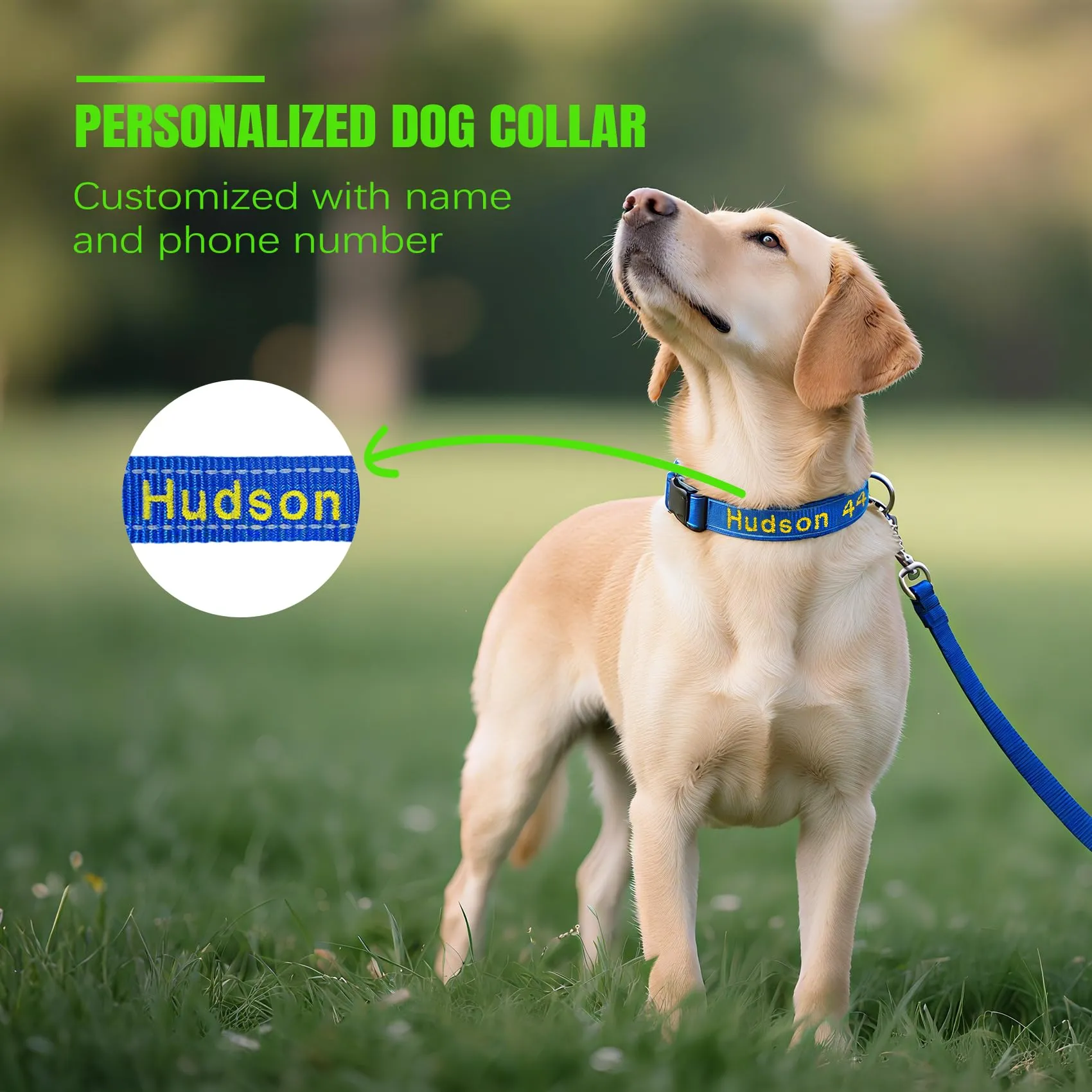 Collare Personalizzato Cane con Nome Ricamato, Riflettente Regolabile Nylon - immagine 2