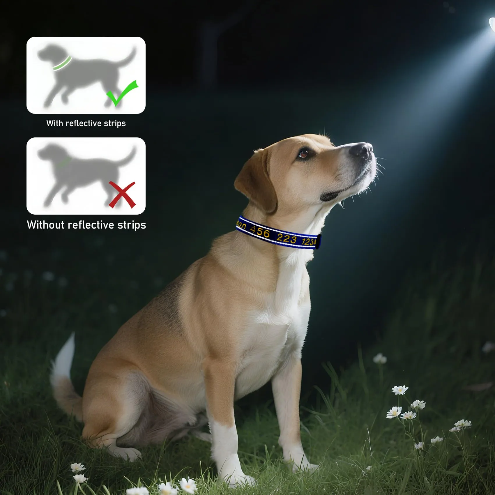 Collare Personalizzato Cane con Nome Ricamato, Riflettente Regolabile Nylon - immagine 3