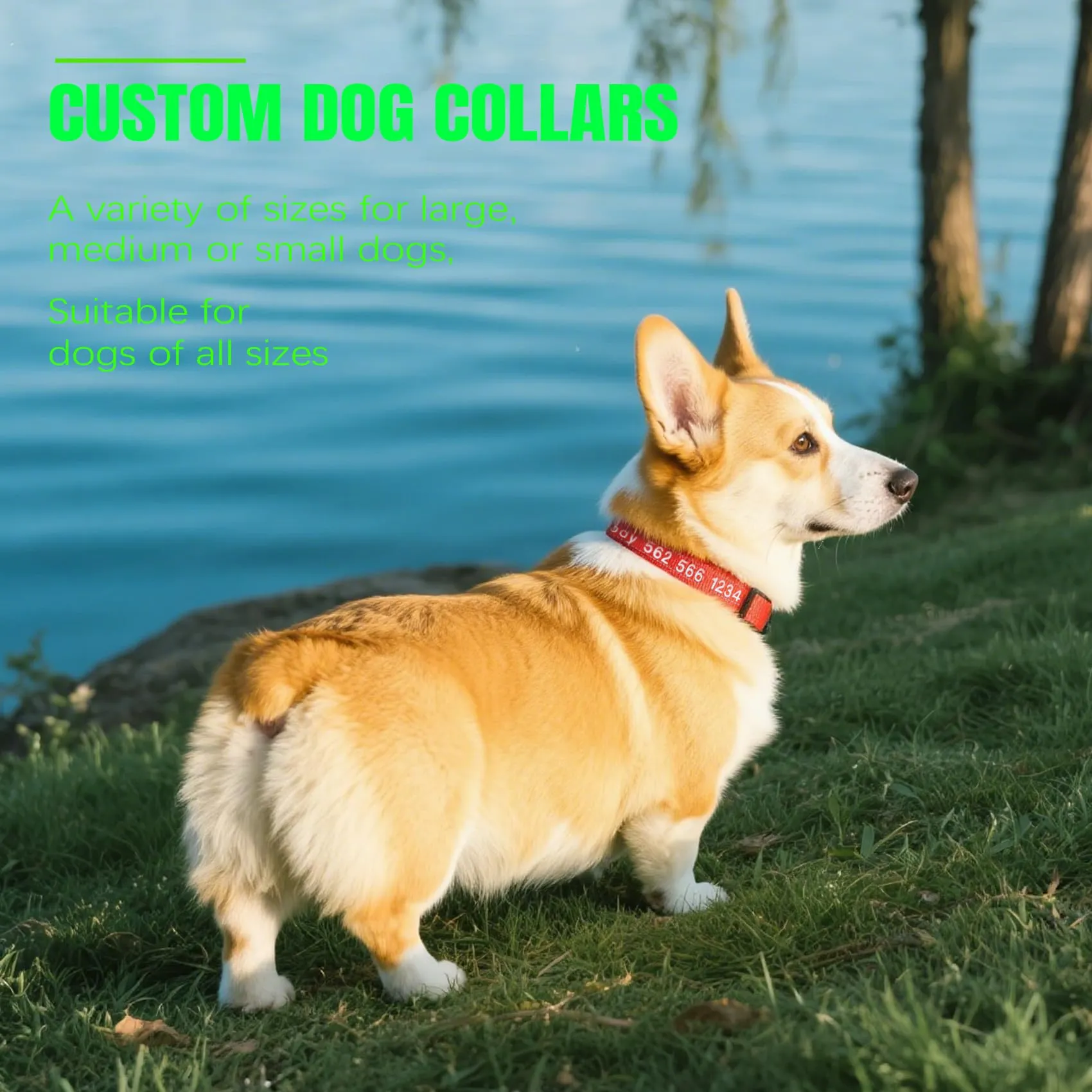 Collare Personalizzato Cane con Nome Ricamato, Riflettente Regolabile Nylon - immagine 4