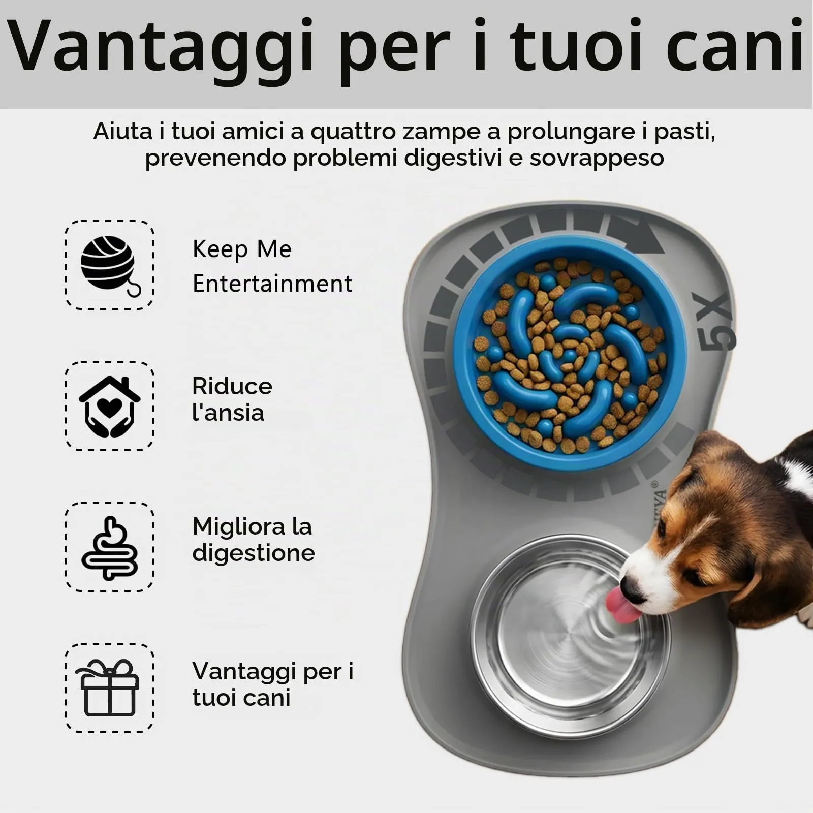 YINEYA ciotole per cani set 3 in 1, ciotola anti ingozzamento cane, ciotole per gatti, include un pieghevole tappetino ciotola cane, adatto per cibo secco e umido e per tutte le razze di cani/gatti - immagine 3