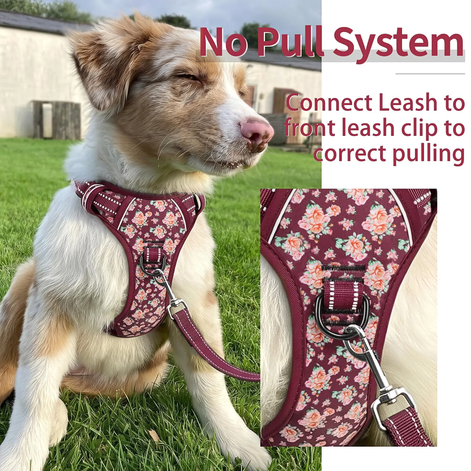 HEELE Pettorina Cane Regolabile No-pull con Manico, Fiori-Rosso Borgogna, S - immagine 3