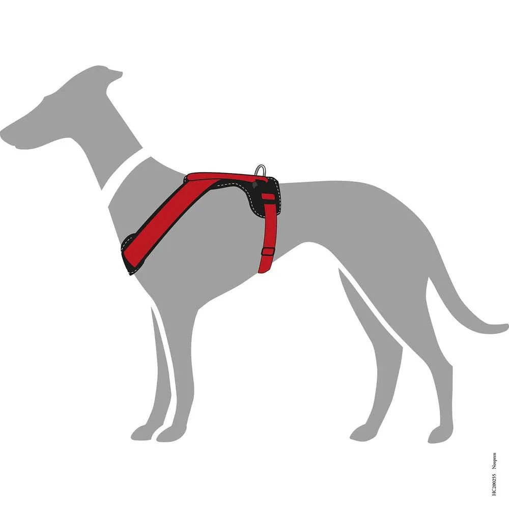Hunter Pettorina in neoprene per cani, in nylon, con imbottitura morbida in neoprene, Marrone/Caramello, 38-48/XS-S - immagine 3