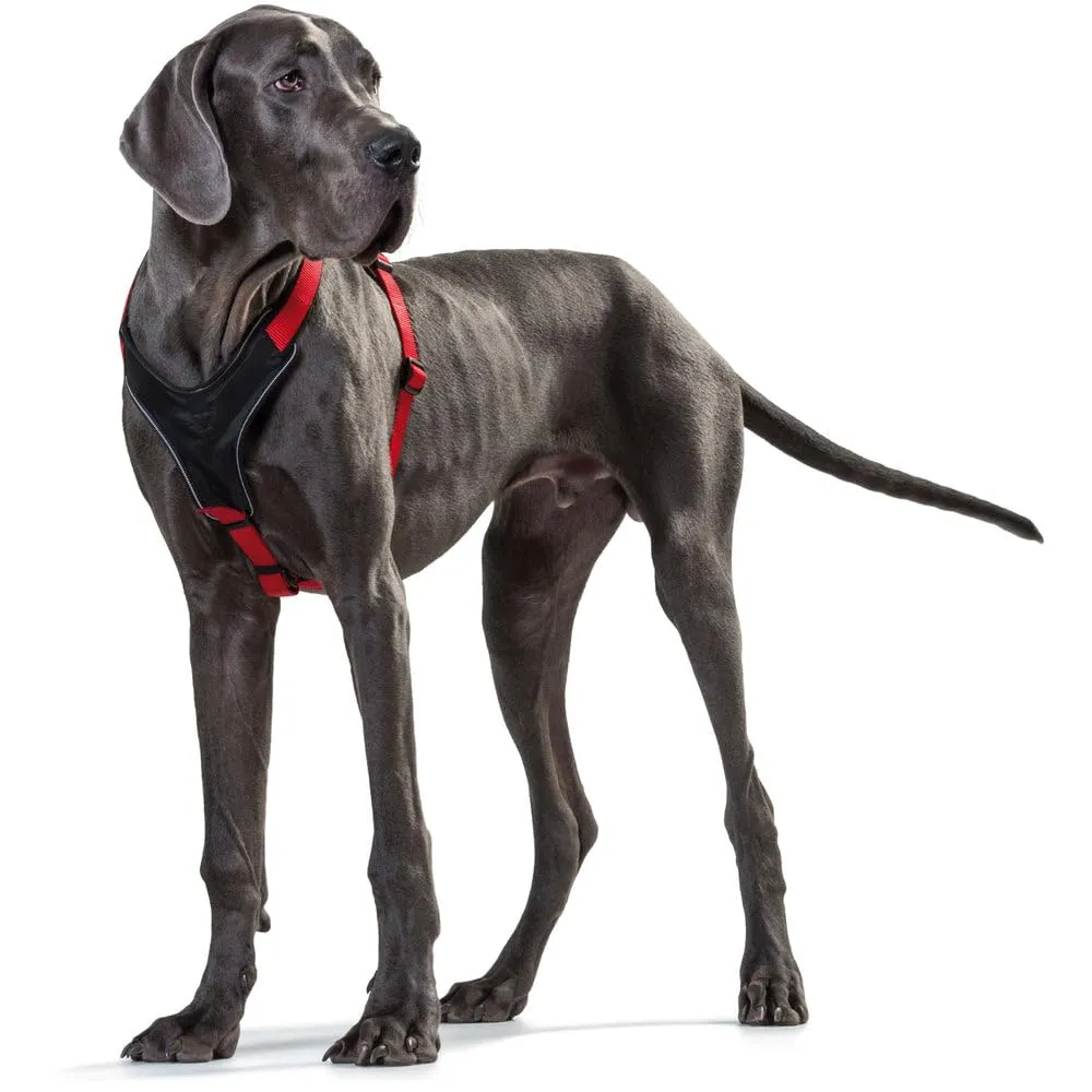 Hunter Pettorina in neoprene per cani, in nylon, con imbottitura morbida in neoprene, Marrone/Caramello, 38-48/XS-S - immagine 8