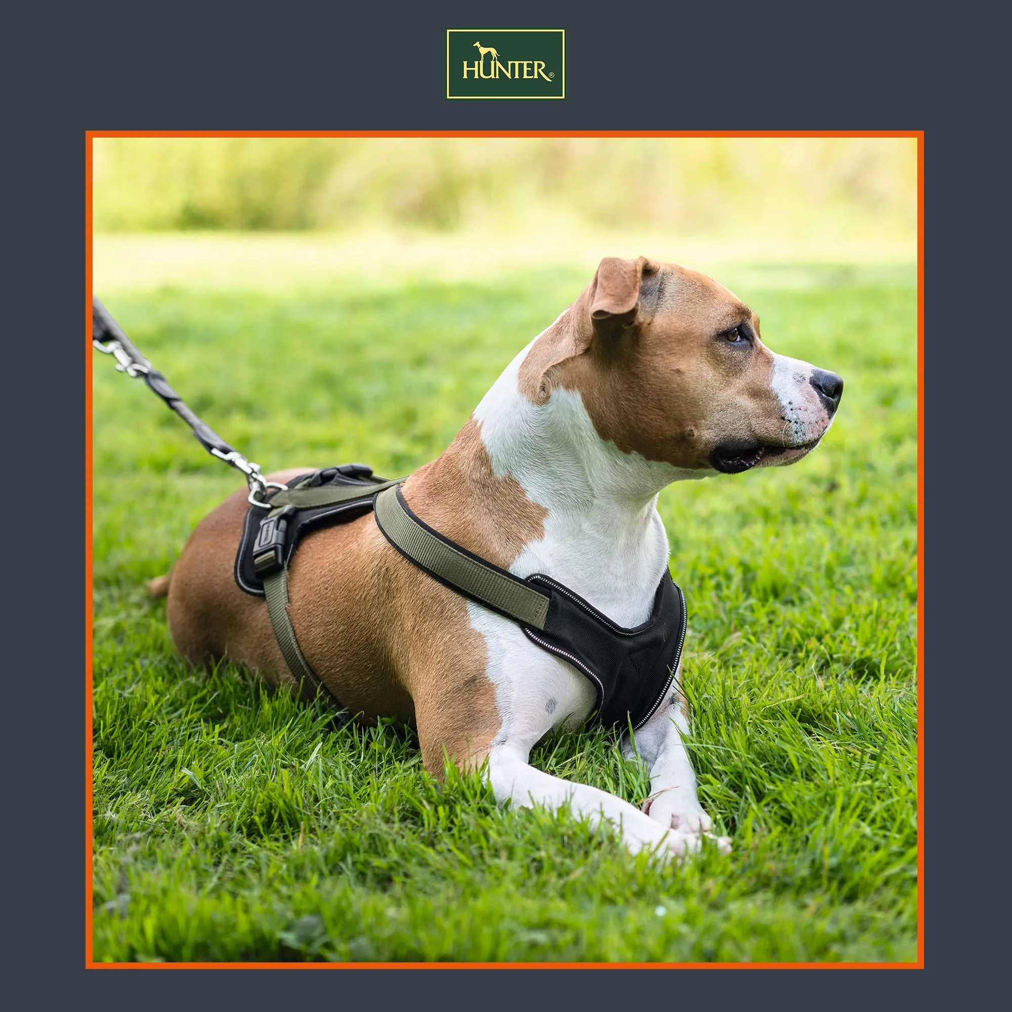 Hunter Pettorina in neoprene per cani, in nylon, con imbottitura morbida in neoprene, Nero/Grigio, 45-57/S - immagine 2