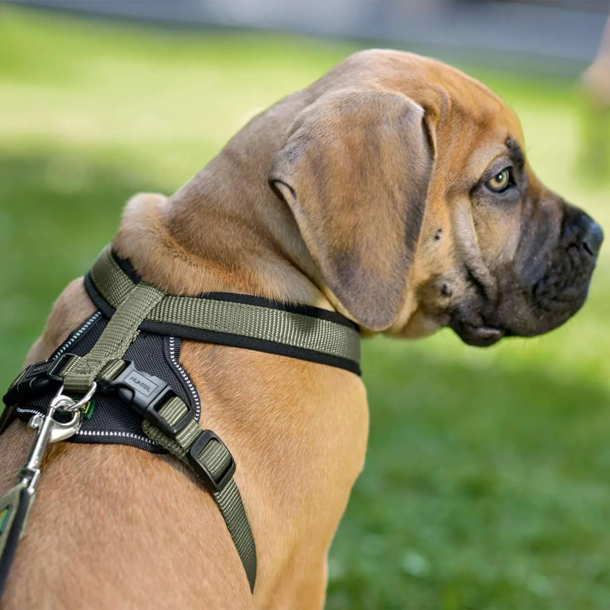 Hunter Pettorina in neoprene per cani, in nylon, con imbottitura morbida in neoprene, Verde/Nero, 60-76/M-L - immagine 2