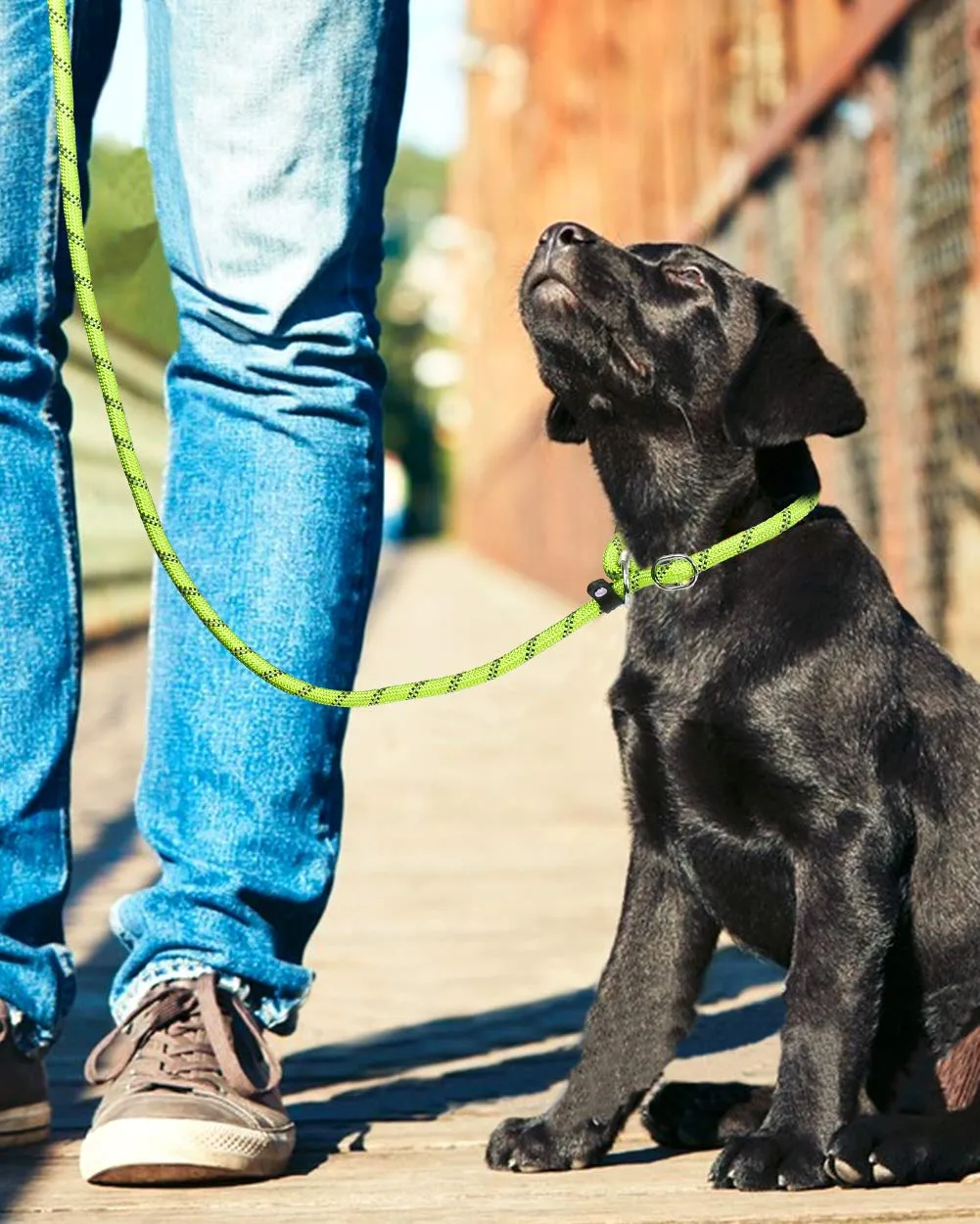 TagME Riflessivo Guinzaglio per Cani Taglia Piccola,Guinzaglio Retriever, Guinzaglio Addestramento per Cani,Ø8mm x 185cm,Verde - immagine 6