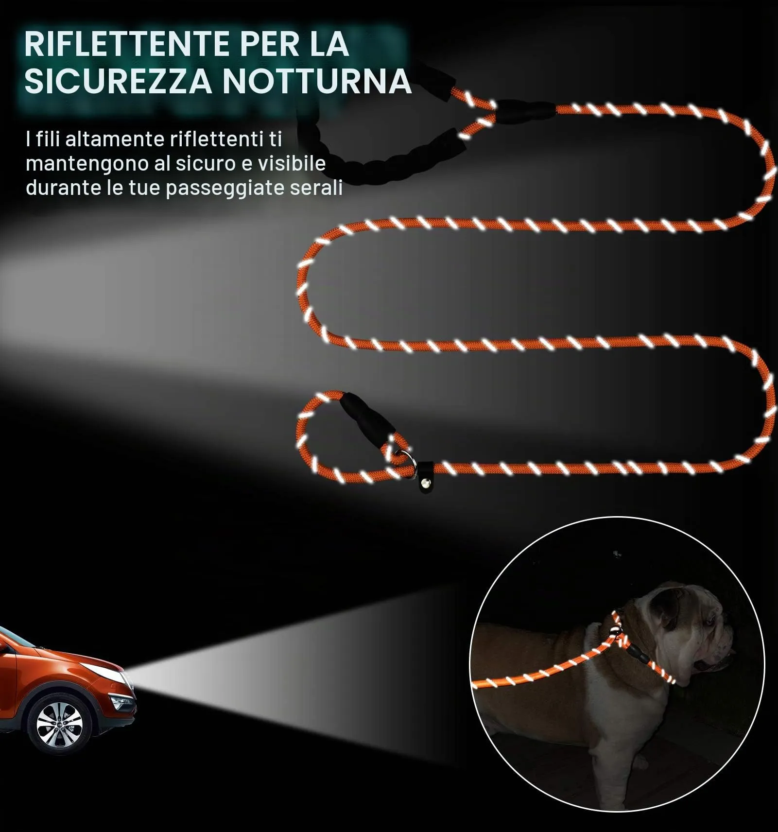 TagME Riflessivo Guinzaglio per Cani Taglia Media,Guinzaglio Retriever, Guinzaglio Addestramento per Cani,Ø10mm x 185cm,Arancia - immagine 5