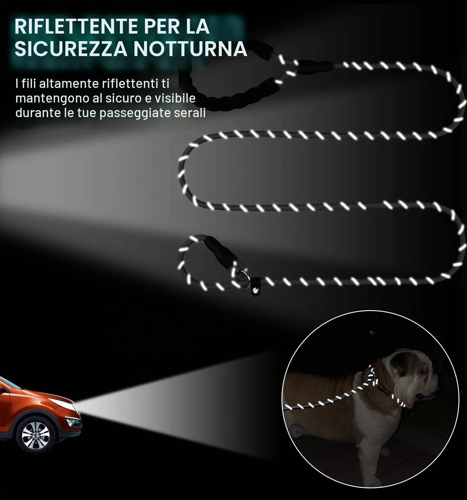 TagME Riflessivo Guinzaglio per Cani Taglia Grande,Guinzaglio Retriever,Guinzaglio Addestramento per Cani,Ø12mm x 185cm,Nero - immagine 5