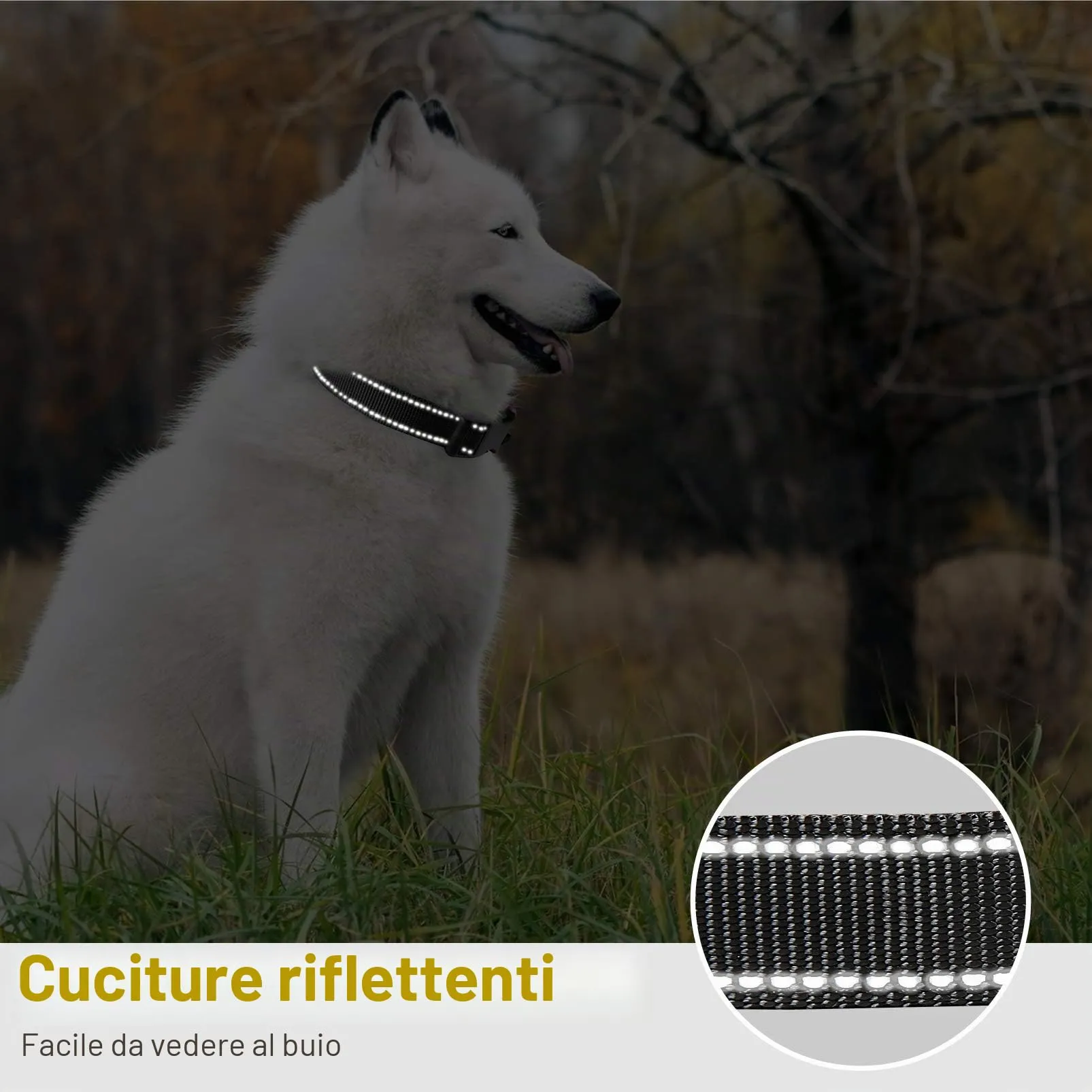 HEELE Collare per Cani, Collare Cane Riflettente Imbottito Nylon Regolabile Traspirante Collari per Cani di Taglia Media, Blu, M(34-52cm) - immagine 6