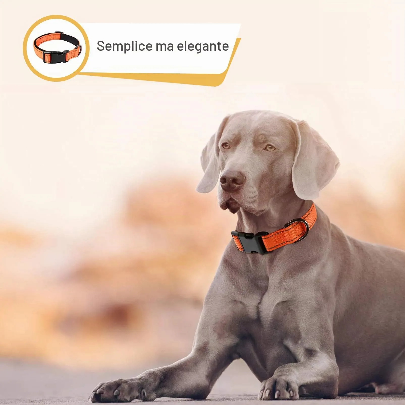 HEELE Collare per Cani, Collare Cane Riflettente Imbottito Nylon Regolabile Traspirante Collari per Cani di Taglia Grande, Arancione, L(44-66cm) - immagine 2