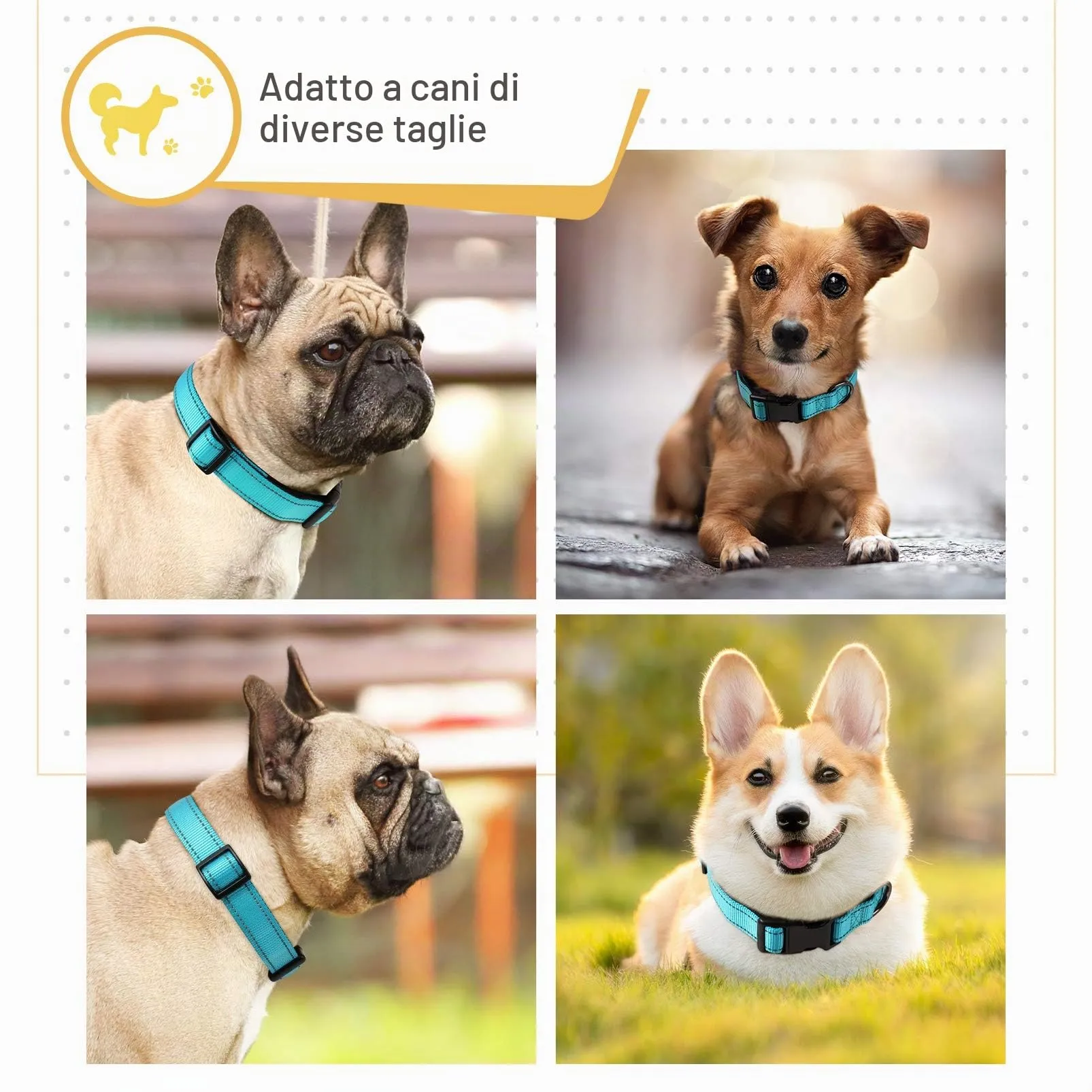 HEELE Collare per Cani, Collare Cane Riflettente Imbottito Nylon Regolabile Traspirante Collari per Cani, Blu, S(26-38cm) - immagine 2