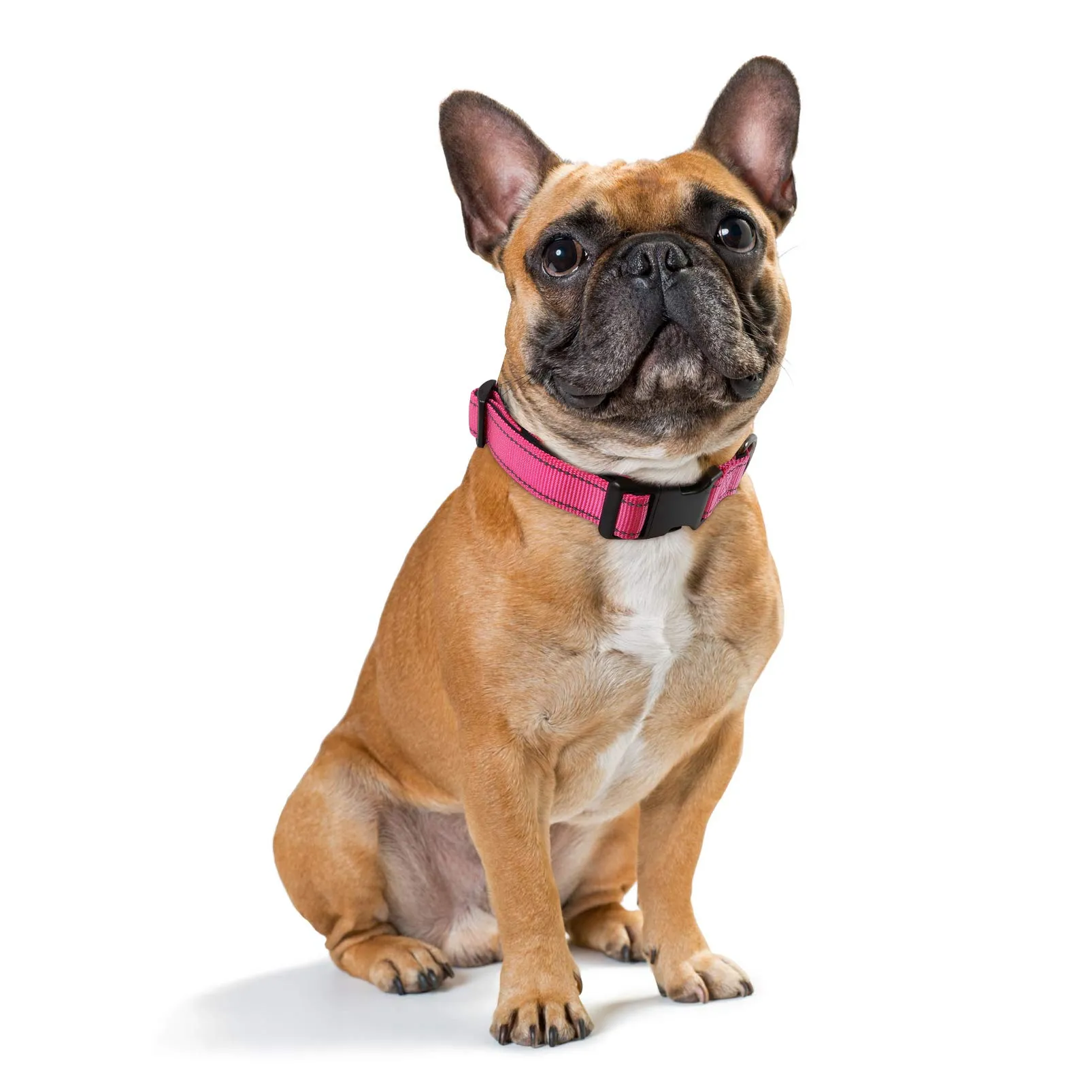 HEELE Collare per Cani, Collare Cane Riflettente Imbottito Nylon Regolabile Traspirante Collari per Cani, Rosa, S(26-38cm) - immagine 2
