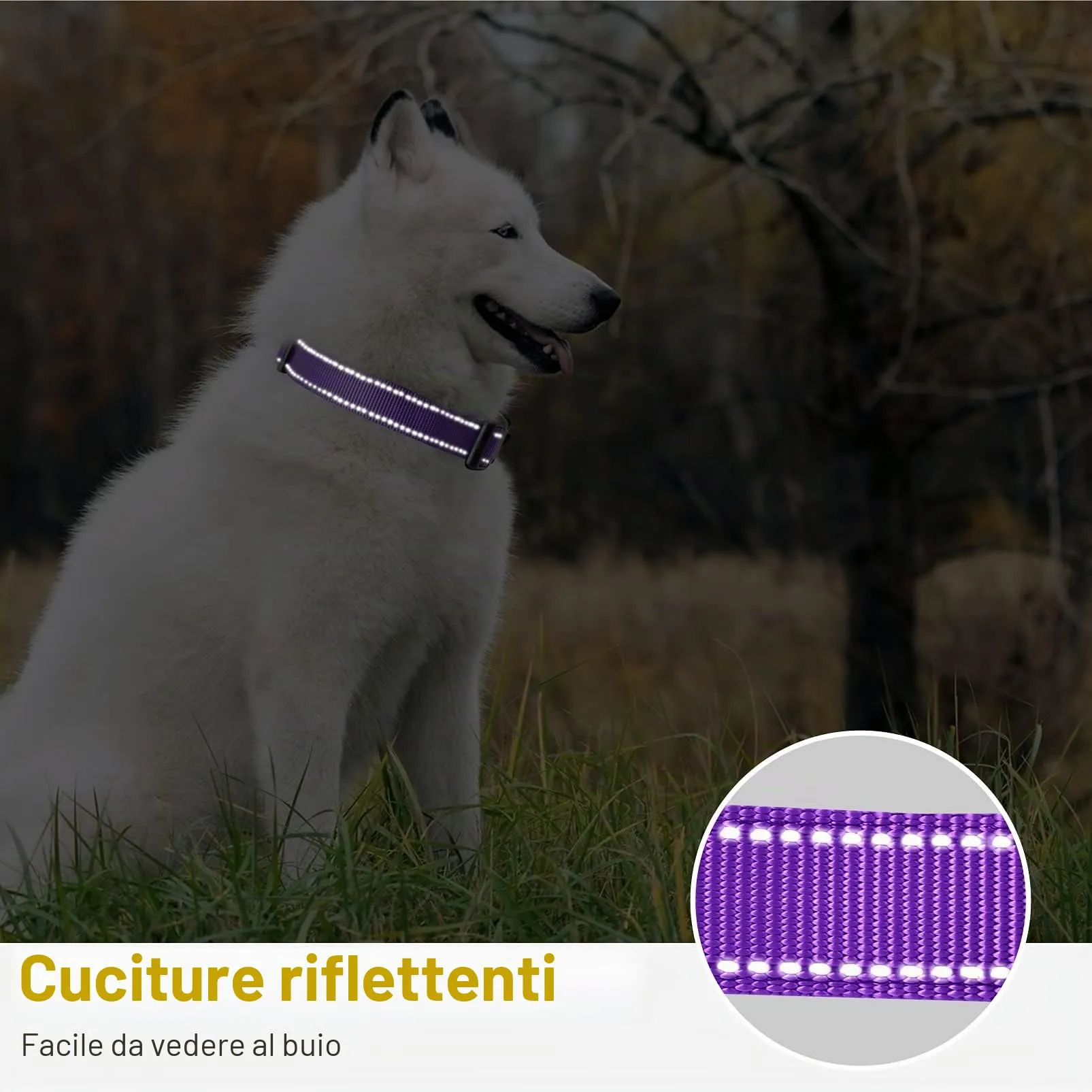 HEELE Collare per Cani, Collare Cane Riflettente Imbottito Nylon Regolabile Traspirante Collari per Cani di Taglia Media, Viola, M(34-52cm) - immagine 6