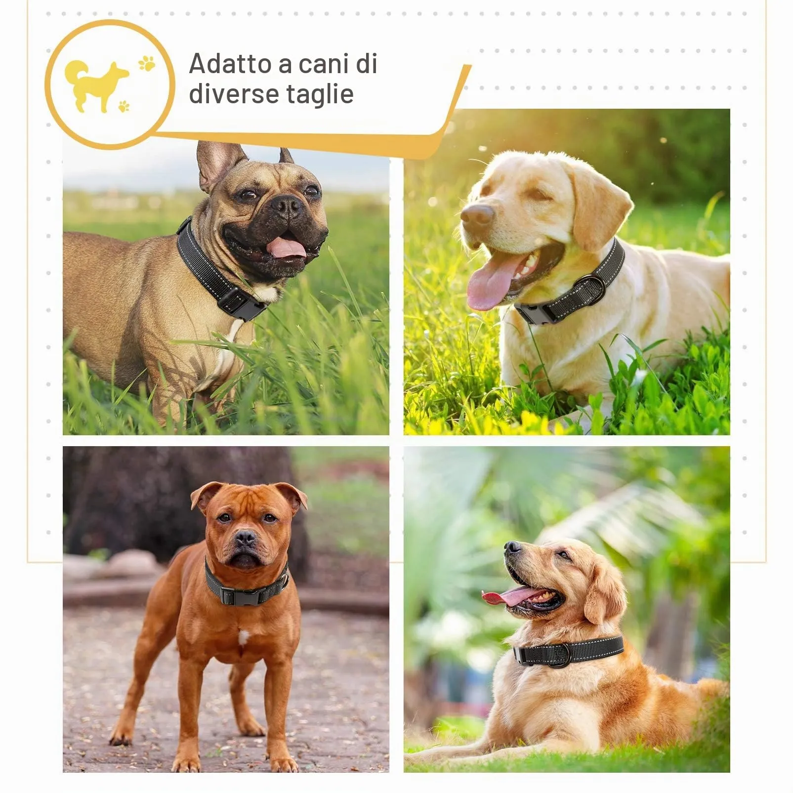 HEELE Collare per Cani, Collare Cane Riflettente Imbottito Nylon Regolabile Traspirante Collari per Cani, Nero, S(26-38cm) - immagine 6