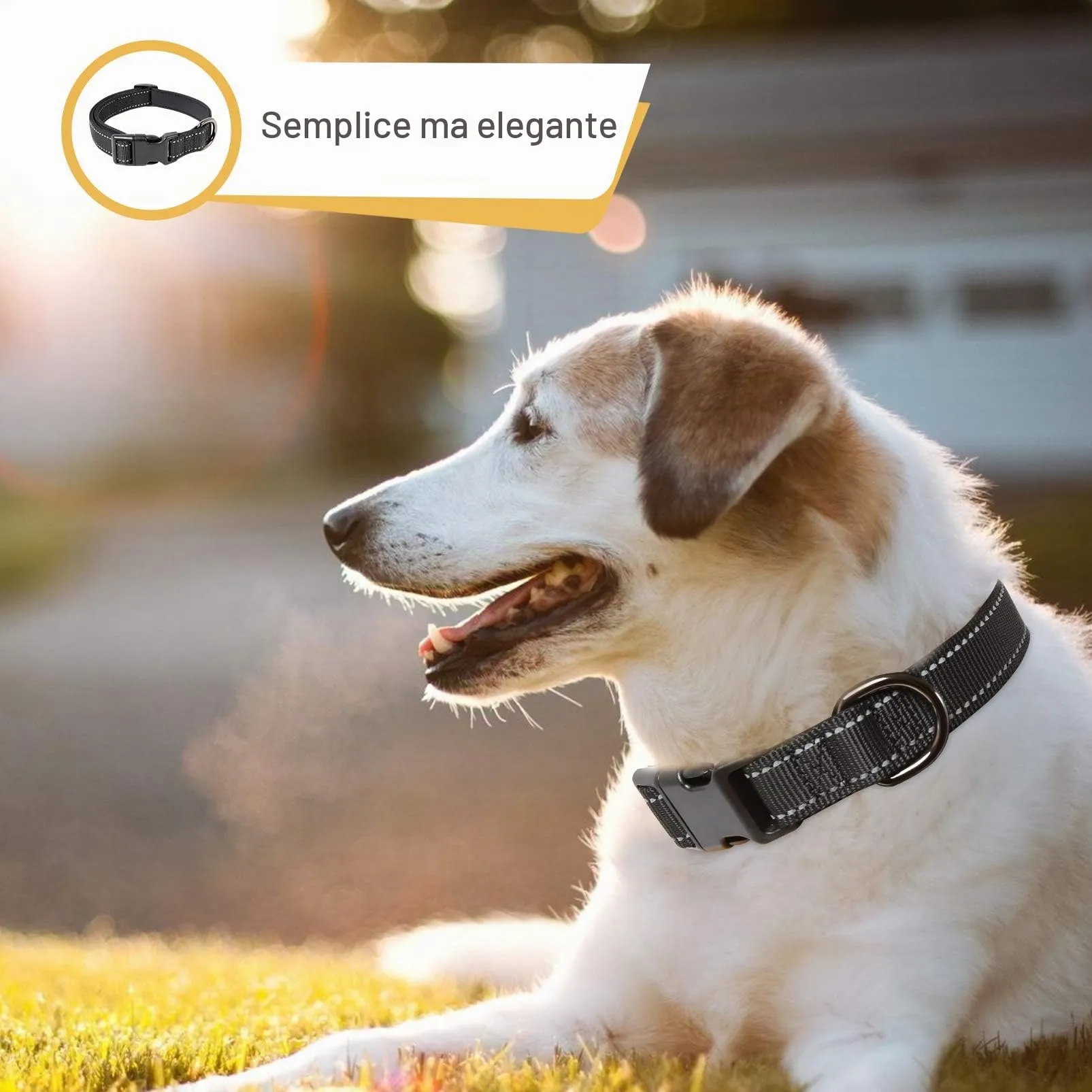 HEELE Collare per Cani, Collare Cane Riflettente Imbottito Nylon Regolabile Traspirante Collari per Cani, Nero, S(26-38cm) - immagine 7