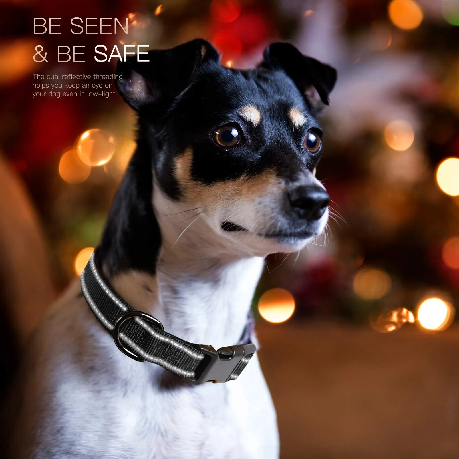 HEELE Collare per Cani, Collare Cane Riflettente Imbottito Nylon Regolabile Traspirante Collari per Cani di Taglia Media, Nero, M(34-52cm) - immagine 5