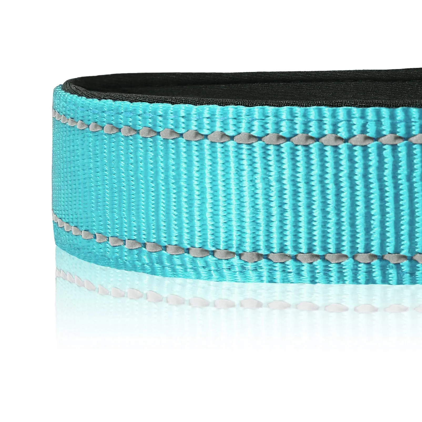 HEELE Collare per Cani, Collare Cane Riflettente Imbottito Nylon Regolabile Traspirante Collari per Cani di Taglia Grande, Blu, L(44-66cm) - immagine 4