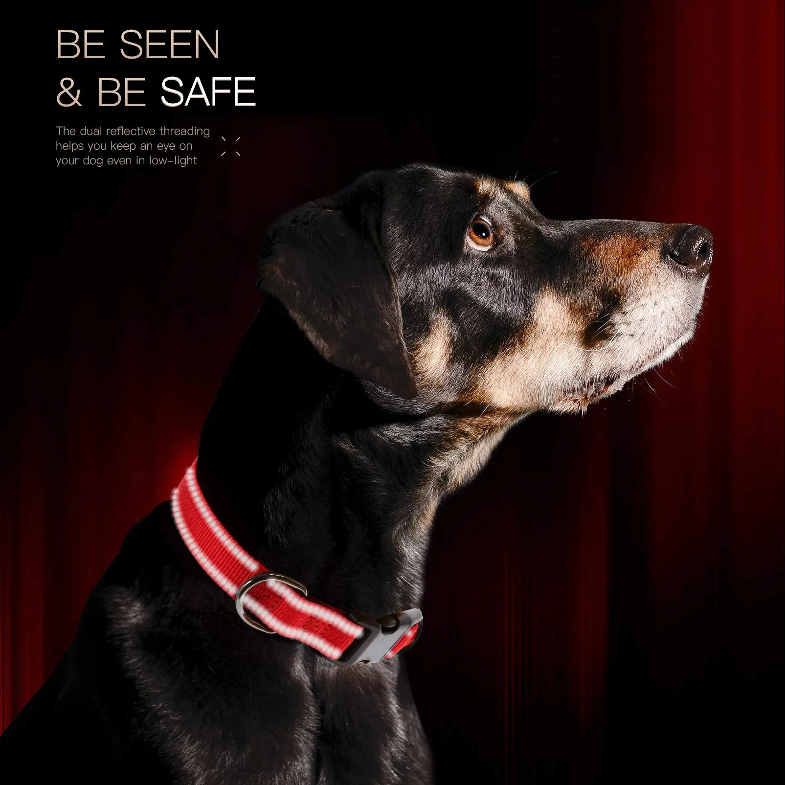 HEELE Collare per Cani, Collare Cane Riflettente Imbottito Nylon Regolabile Traspirante Collari per Cani di Taglia Grande, Rosso, L(44-66cm) - immagine 4