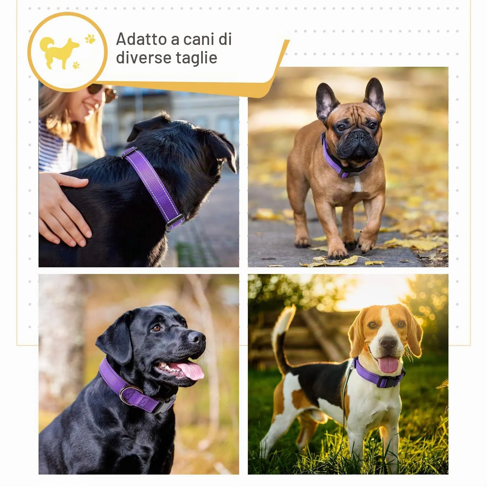 HEELE Collare per Cani, Collare Cane Riflettente Imbottito Nylon Regolabile Traspirante Collari per Cani di Taglia Grande, Viola, L(44-66cm) - immagine 2