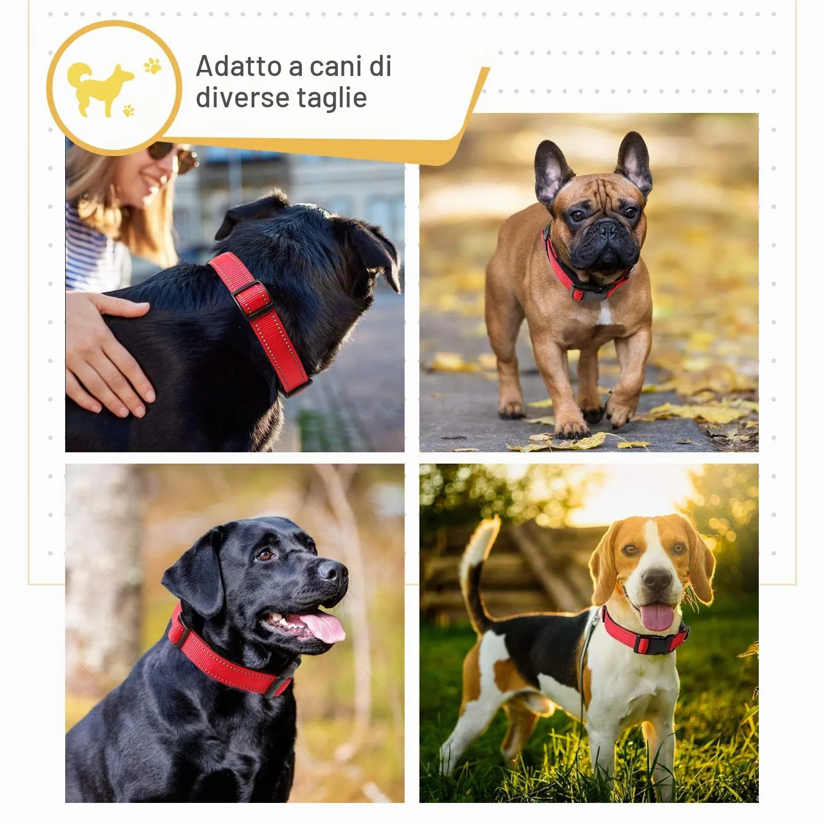 HEELE Collare per Cani, Collare Cane Riflettente Imbottito Nylon Regolabile Traspirante Collari per Cani di Taglia Media, Rosso, M(34-52cm) - immagine 4