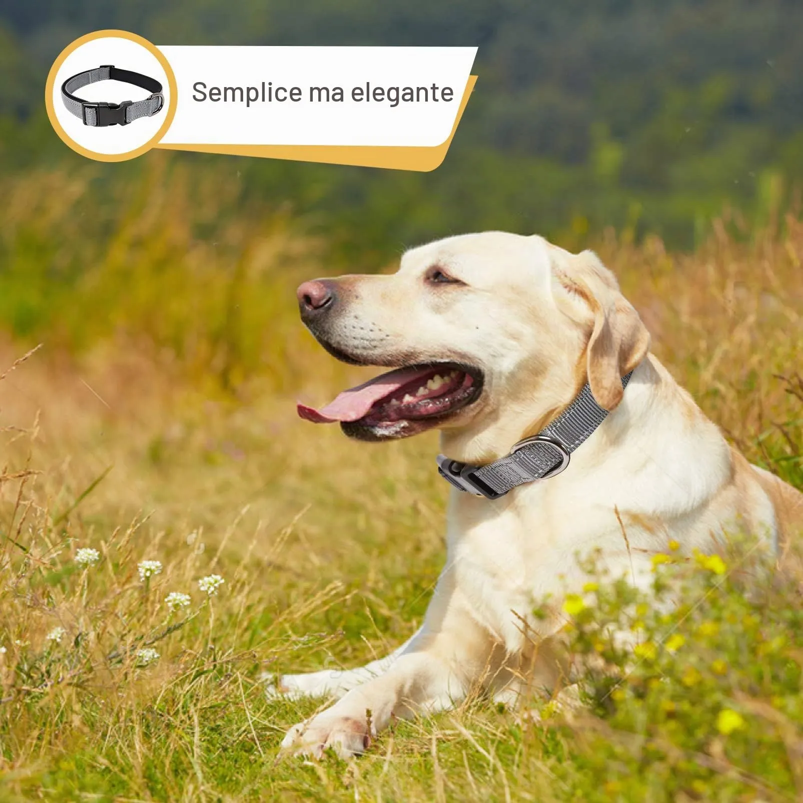 HEELE Collare per Cani, Collare Cane Riflettente Imbottito Nylon Regolabile Traspirante Collari per Cani di Taglia Media, Grigio, M(34-52cm) - immagine 3