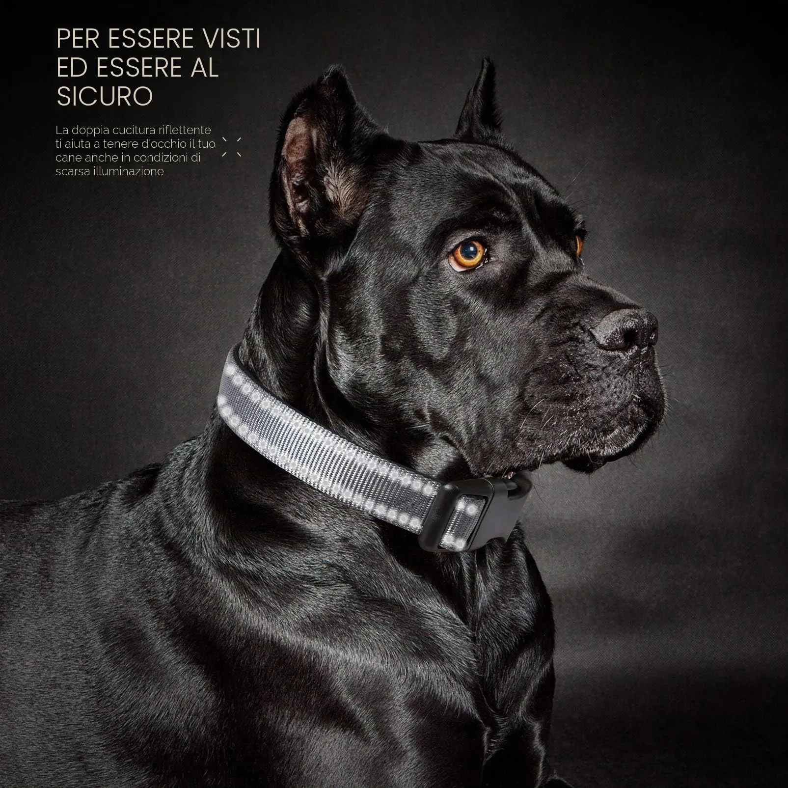 HEELE Collare per Cani, Collare Cane Riflettente Imbottito Nylon Regolabile Traspirante Collari per Cani di Taglia Media, Grigio, M(34-52cm) - immagine 4