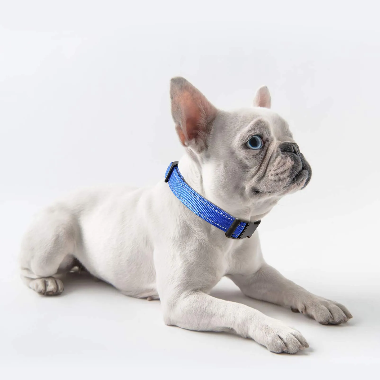 HEELE Collare per Cani, Collare Cane Riflettente Imbottito Nylon Regolabile Traspirante Collari per Cani di Taglia Piccola, Blu Scuro, S(26-38cm) - immagine 4