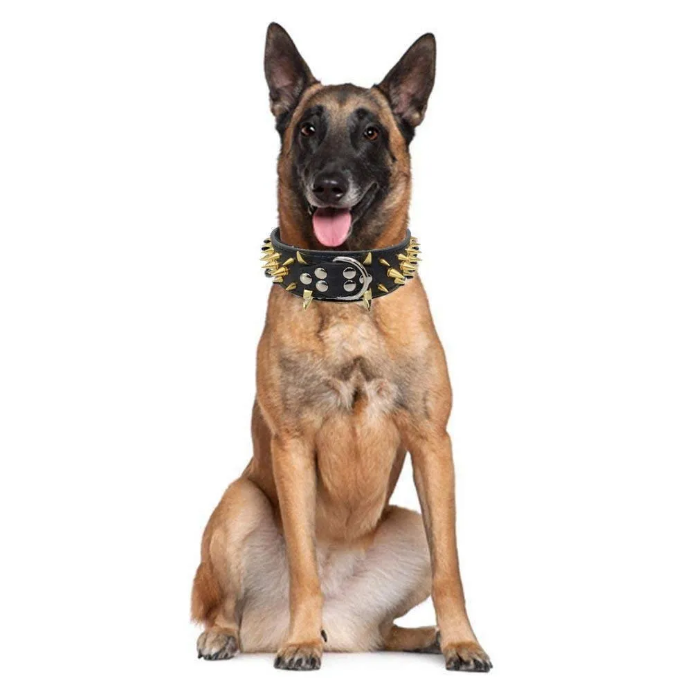 haoyueer Collare per cani con borchie a spillo, larghezza 5 cm, elegante collare per cani di taglia media e grande Pitbull e Labrador, Boxer Rottweiler, pastore tedesco - immagine 7