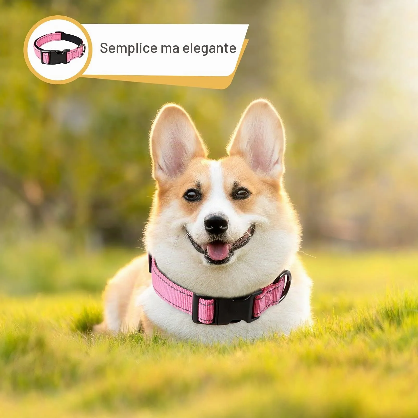 HEELE Collare per Cani, Collare Cane Riflettente Imbottito Nylon Regolabile Traspirante Collari per Cani di Taglia Grande, Pink, L(44-66cm) - immagine 4