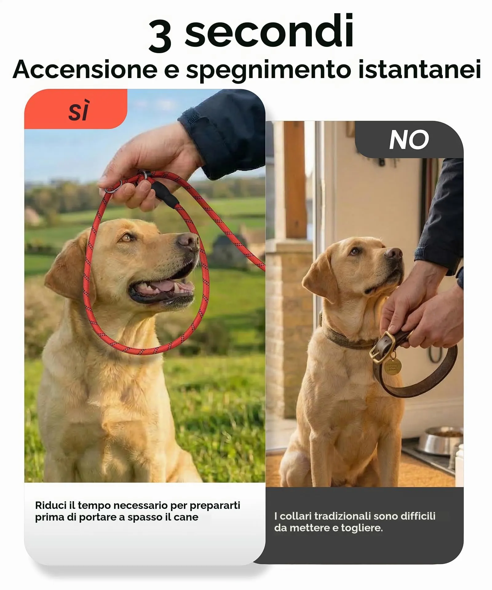 TagME Riflessivo Guinzaglio per Cani Taglia Media,Guinzaglio Retriever, Guinzaglio Addestramento per Cani,Ø10mm x 185cm,Rosa Caldo - immagine 2
