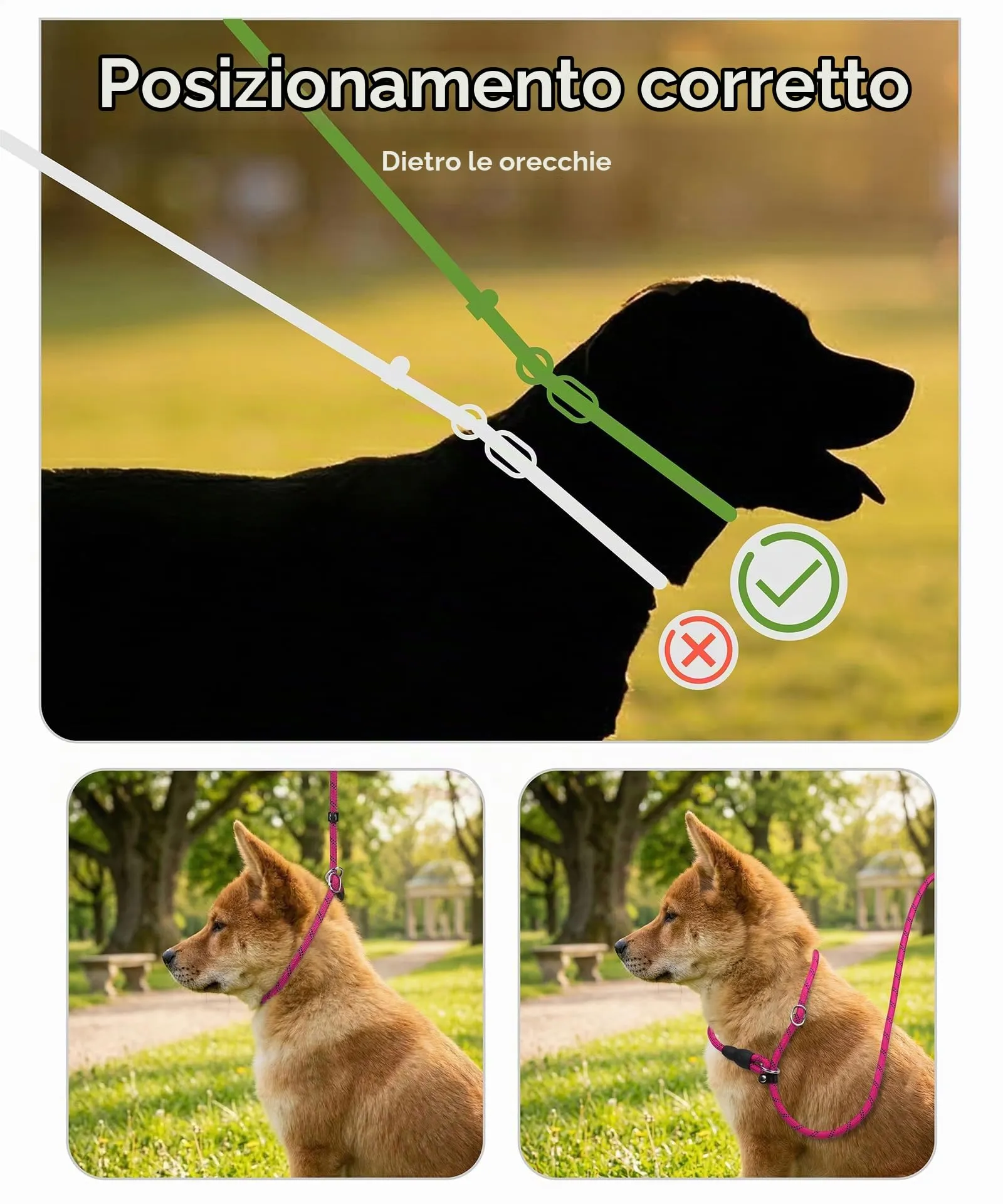 TagME Riflessivo Guinzaglio per Cani Taglia Media,Guinzaglio Retriever, Guinzaglio Addestramento per Cani,Ø10mm x 185cm,Rosa Caldo - immagine 3