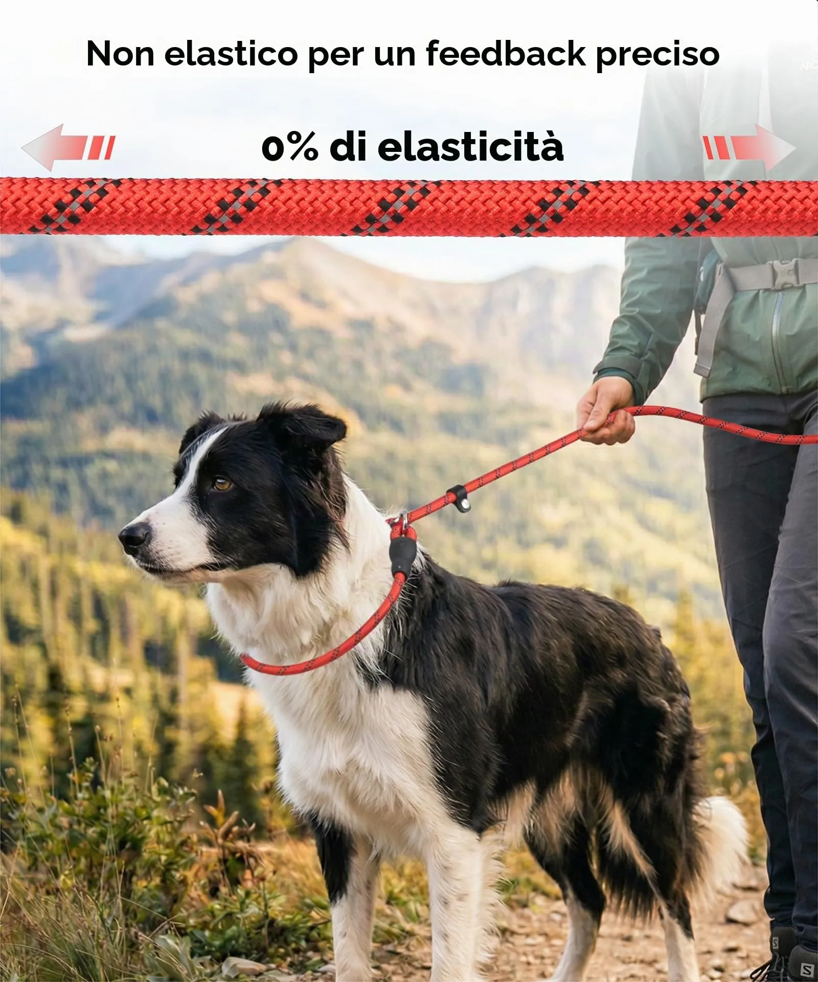 TagME Riflessivo Guinzaglio per Cani Taglia Media,Guinzaglio Retriever, Guinzaglio Addestramento per Cani,Ø10mm x 185cm,Rosa Caldo - immagine 8