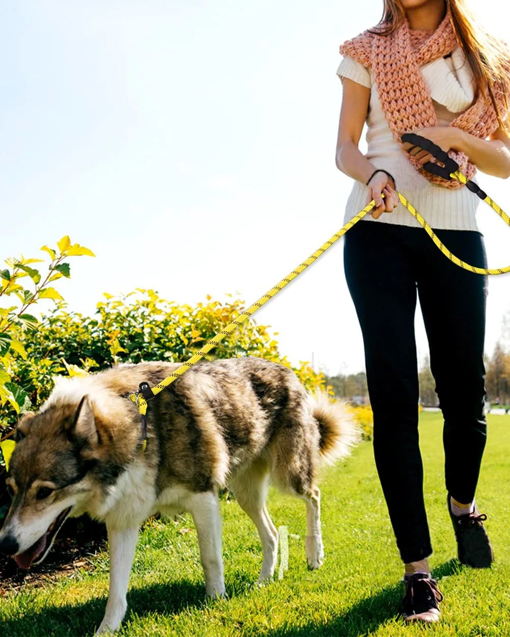 TagME Riflessivo Guinzaglio per Cani Taglia Grande,Guinzaglio Retriever,Guinzaglio Addestramento per Cani,Ø12mm x 185cm,Giallo - immagine 6