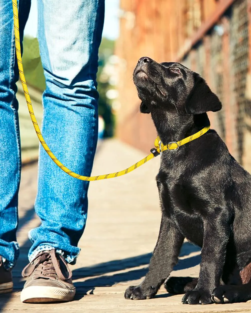 TagME Riflessivo Guinzaglio per Cani Taglia Piccola,Guinzaglio Retriever, Guinzaglio Addestramento per Cani,Ø8mm x 185cm,Giallo - immagine 6