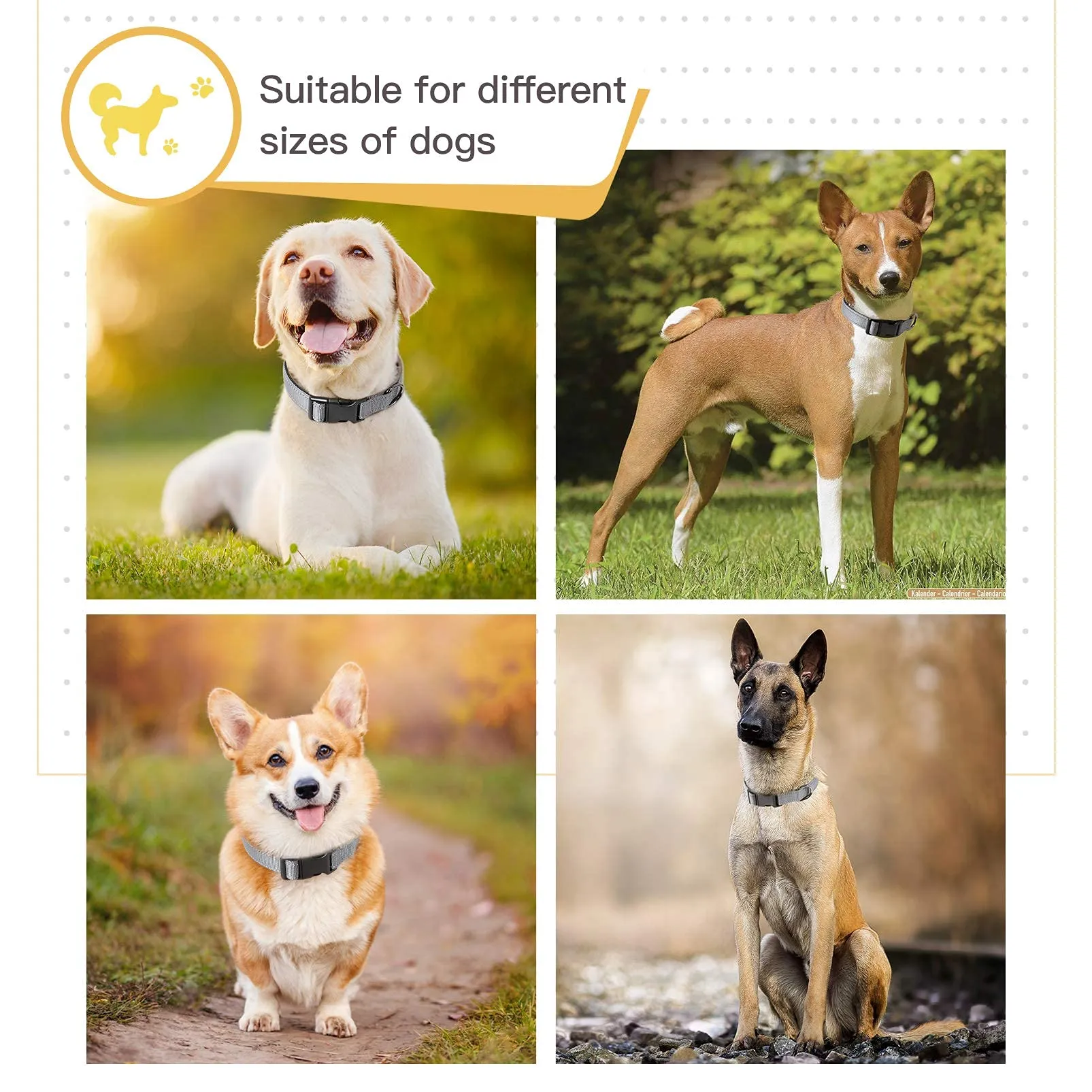 HEELE Collare per Cani, Collare Cane Riflettente Imbottito Nylon Regolabile Traspirante Collari per Cani, Grigio, XS(20-30cm) - immagine 5