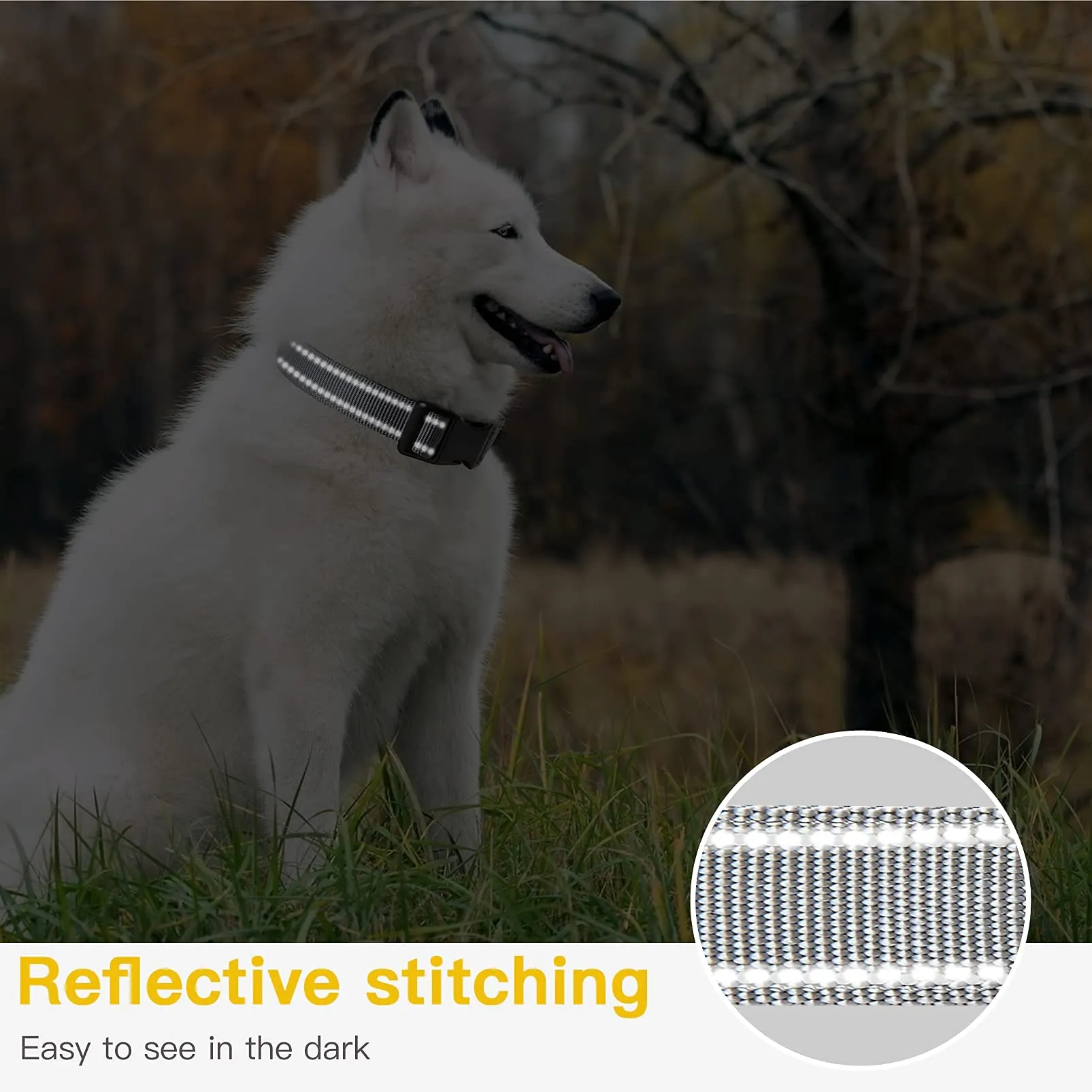 HEELE Collare per Cani, Collare Cane Riflettente Imbottito Nylon Regolabile Traspirante Collari per Cani, Grigio, XS(20-30cm) - immagine 6